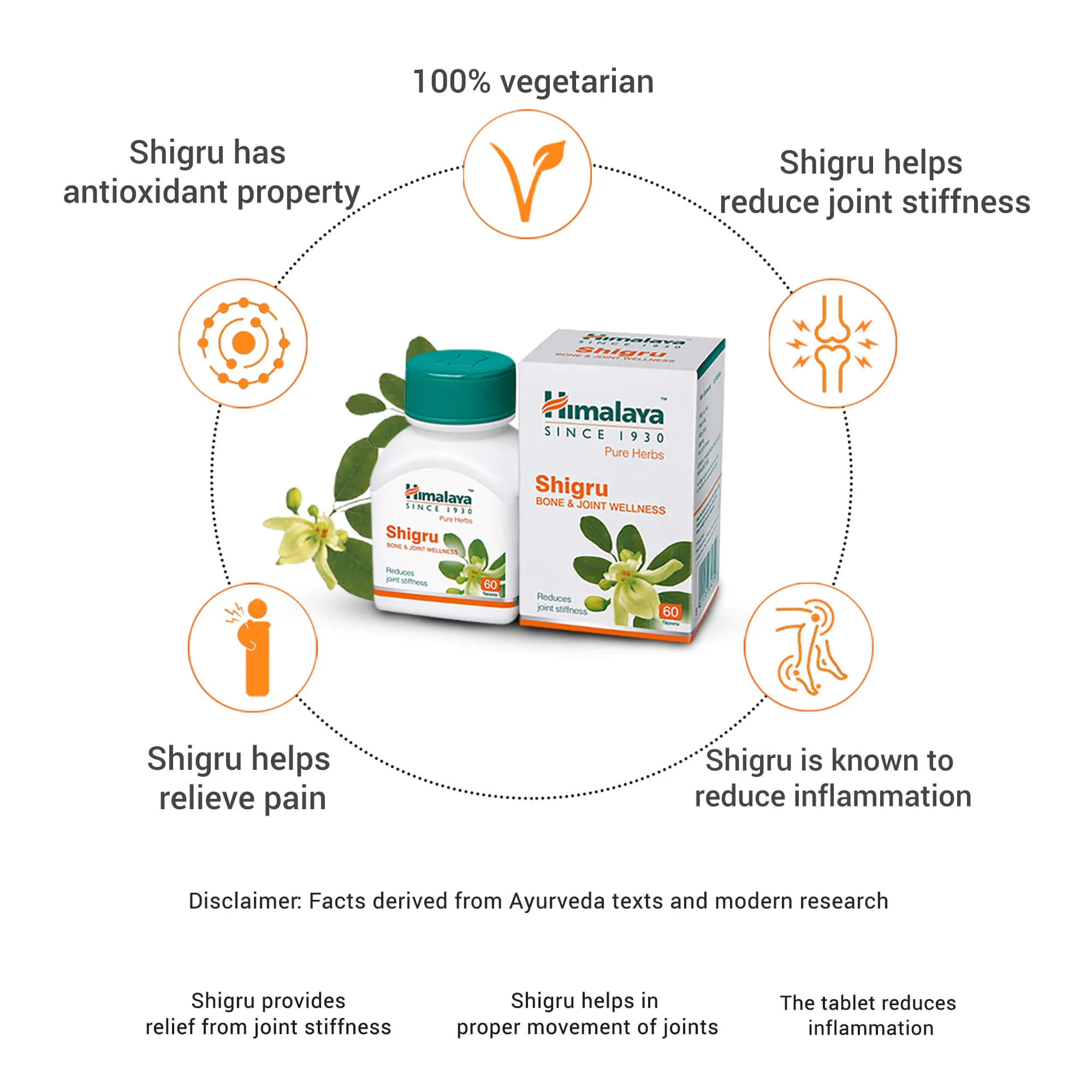 Himalaya Herbals Shigru | Ayurvedic Joint Support | Pure Moringa Leaf Extract-2