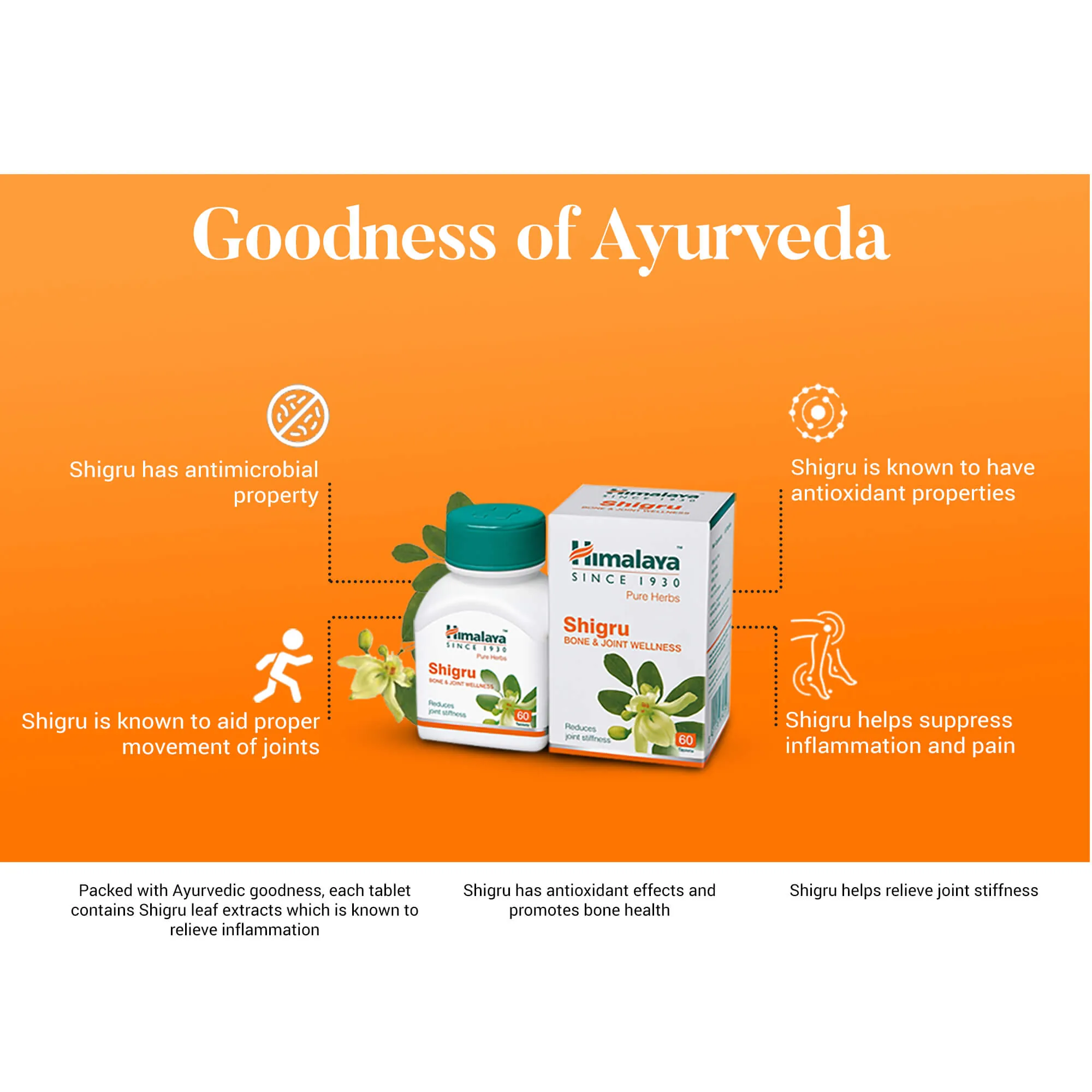 Himalaya Herbals Shigru | Ayurvedic Joint Support | Pure Moringa Leaf Extract-4
