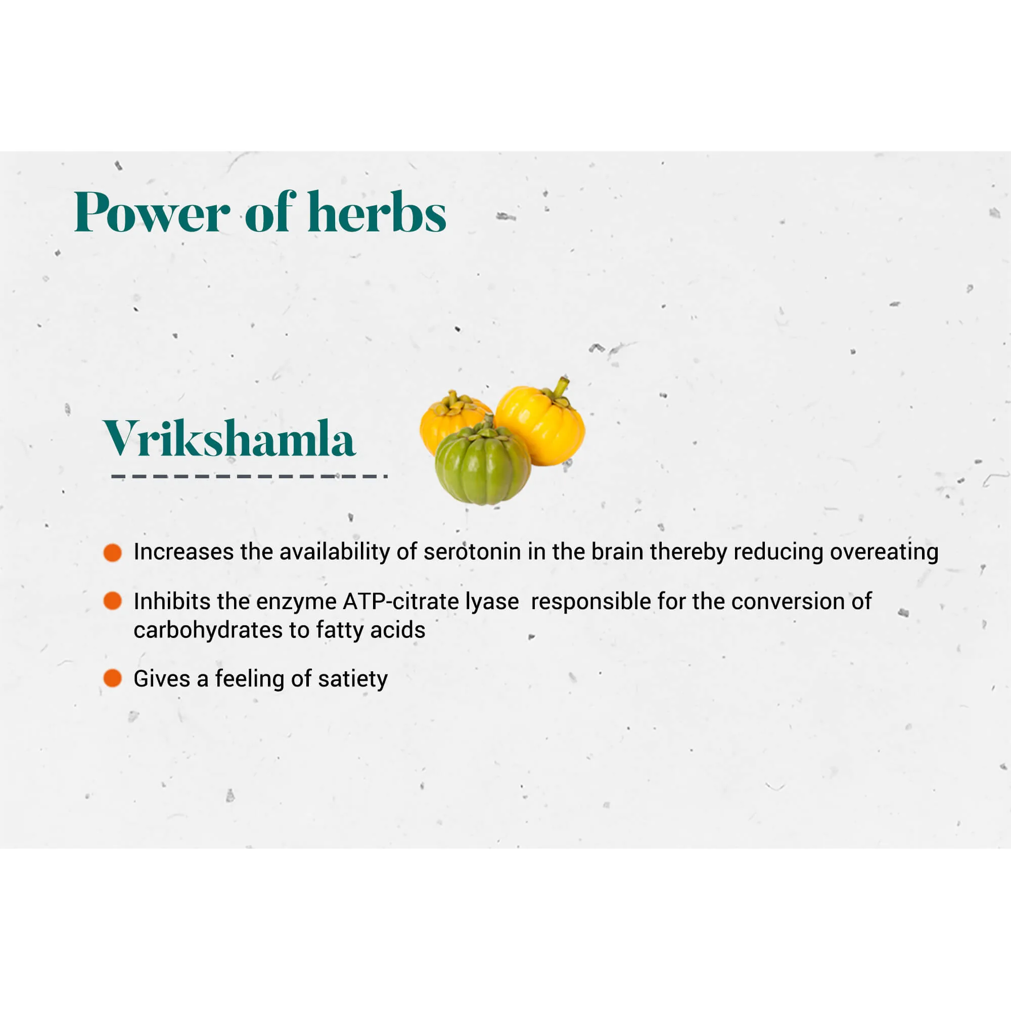 Himalaya Wellness Pure Herbs Vrikshamla Weight Wellness | Ayurvedic Herbal Supplement | Natural Weight Management & Appetite Support-4