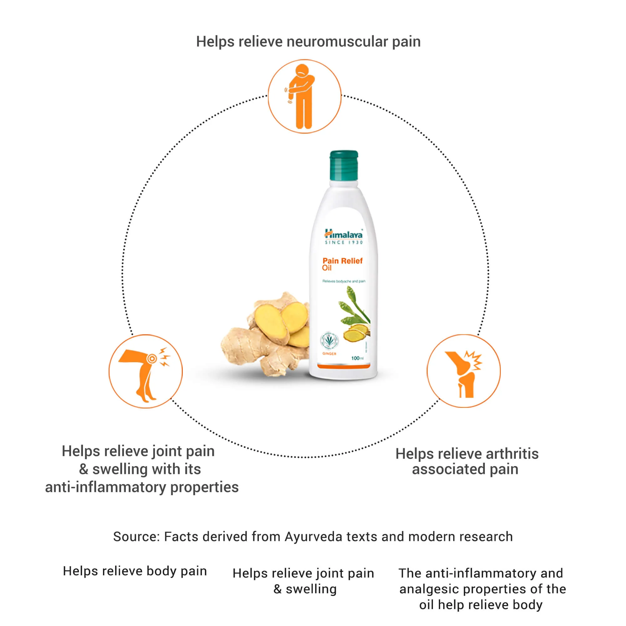 Himalaya Wellness Pain Relief Oil | Ayurvedic Massage Oil | Soothing Joint & Muscle Care-3
