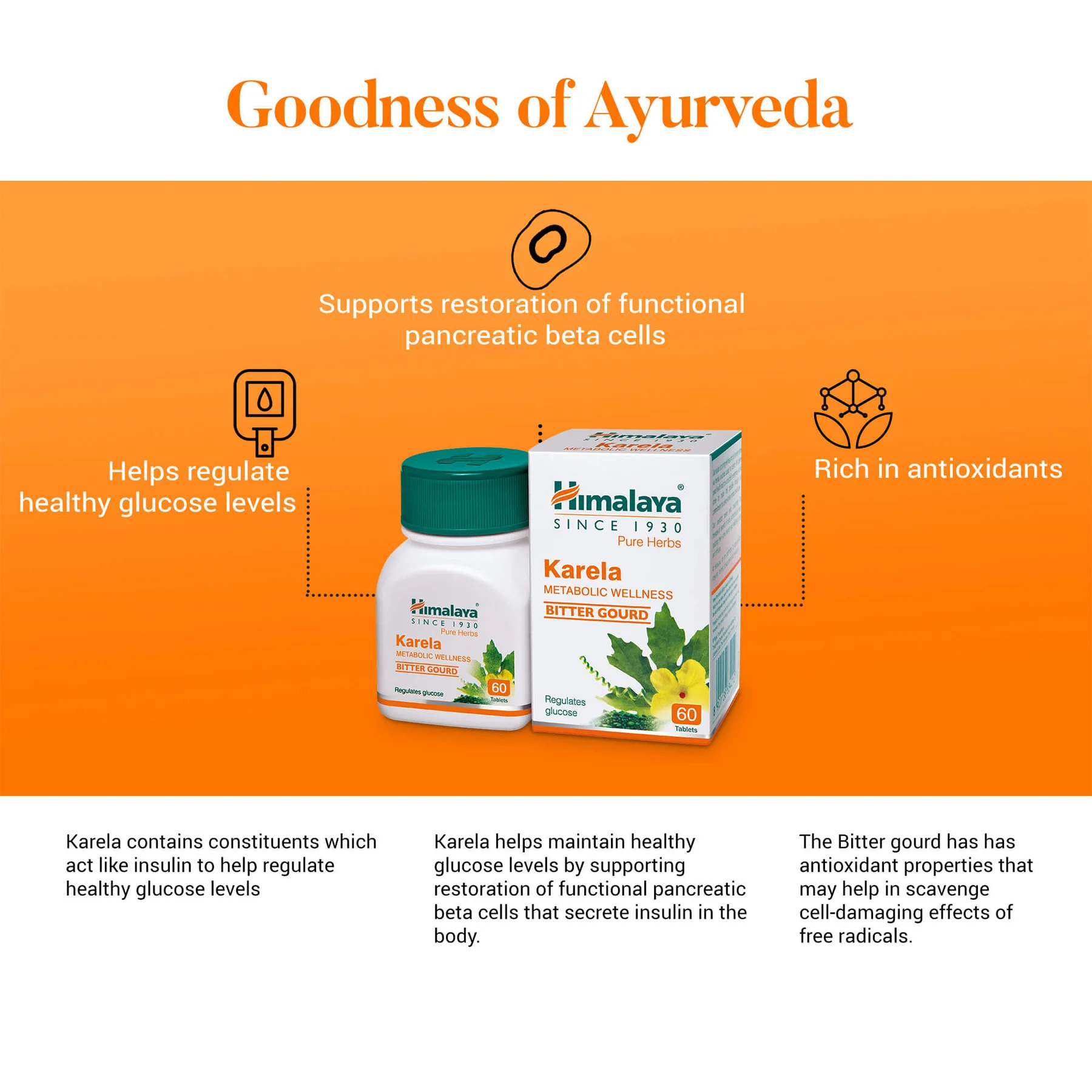 Himalaya Wellness Pure Herbs Karela Metabolic Wellness Tablets | Ayurvedic Blood Sugar Support | Natural Bitter Melon Extract-3
