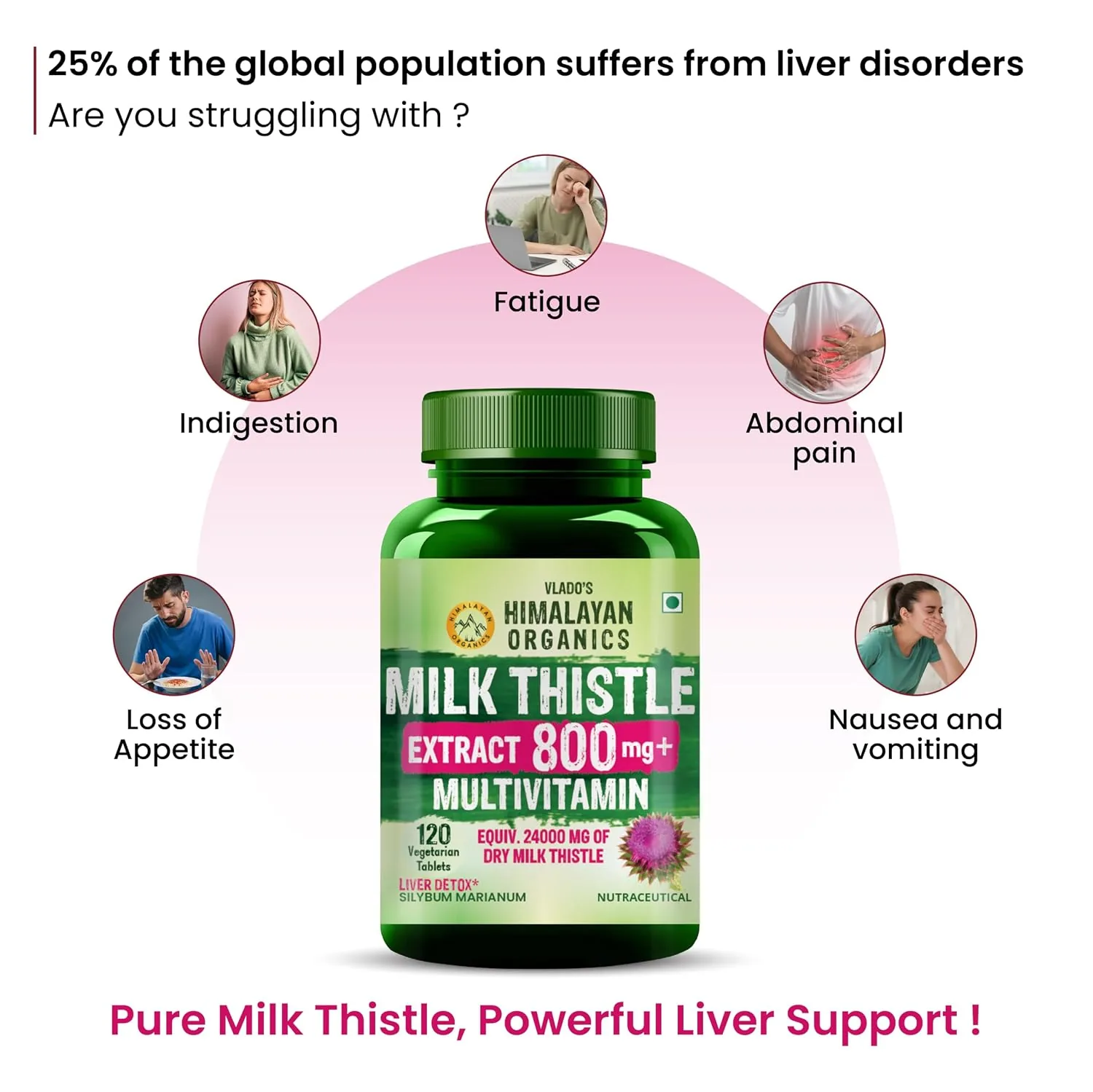 Himalayan Organics Milk Thistle Capsules | Plant-Based Liver Detox Supplement | Standardized Silymarin Extract-4