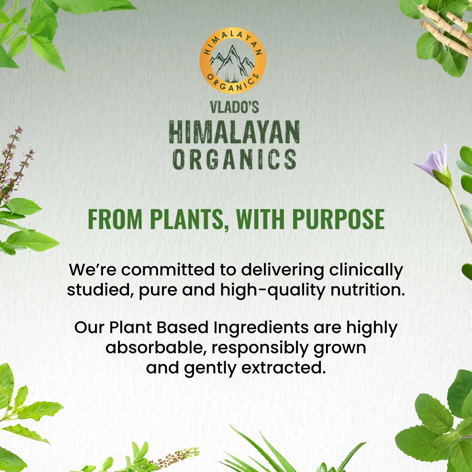 Himalayan Organics Plant Based Collagen Builder | Whole Food Vegetarian Capsules | Natural Skin & Hair Support-3