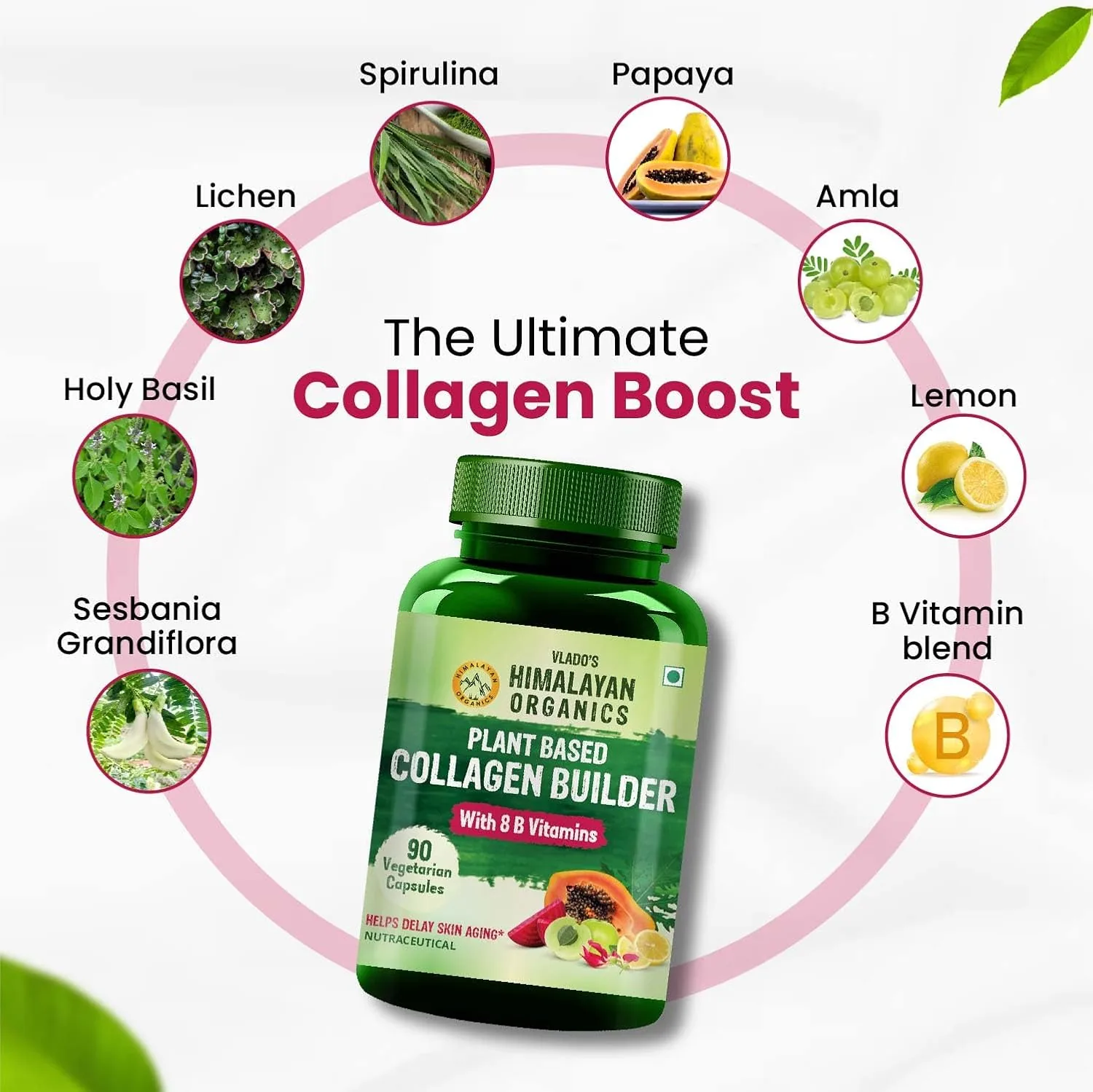 Himalayan Organics Plant Based Collagen Builder | Whole Food Vegetarian Capsules | Natural Skin & Hair Support-4