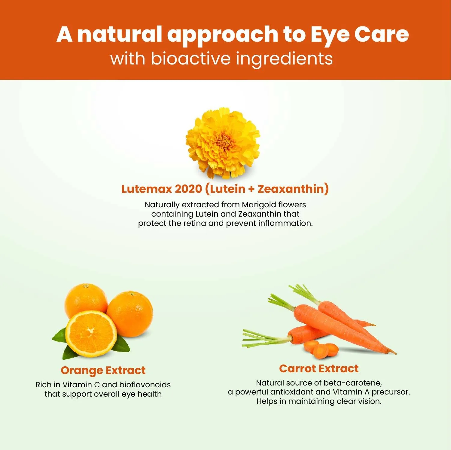 Himalayan Organics Plant Based Eye Care Tablets | Lutein & Zeaxanthin Supplement | Digital Blue Light Shield-4