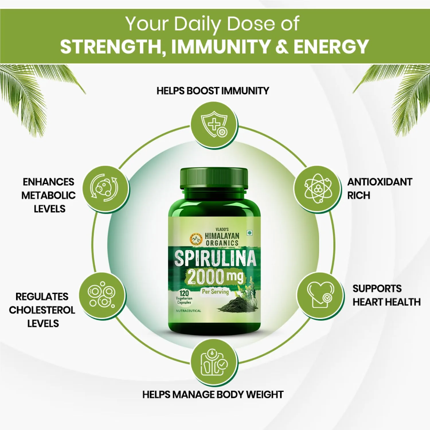 Himalayan Organics Spirulina Vegetarian Capsules | Green Superfood Supplement | Immunity & Metabolism Support-7