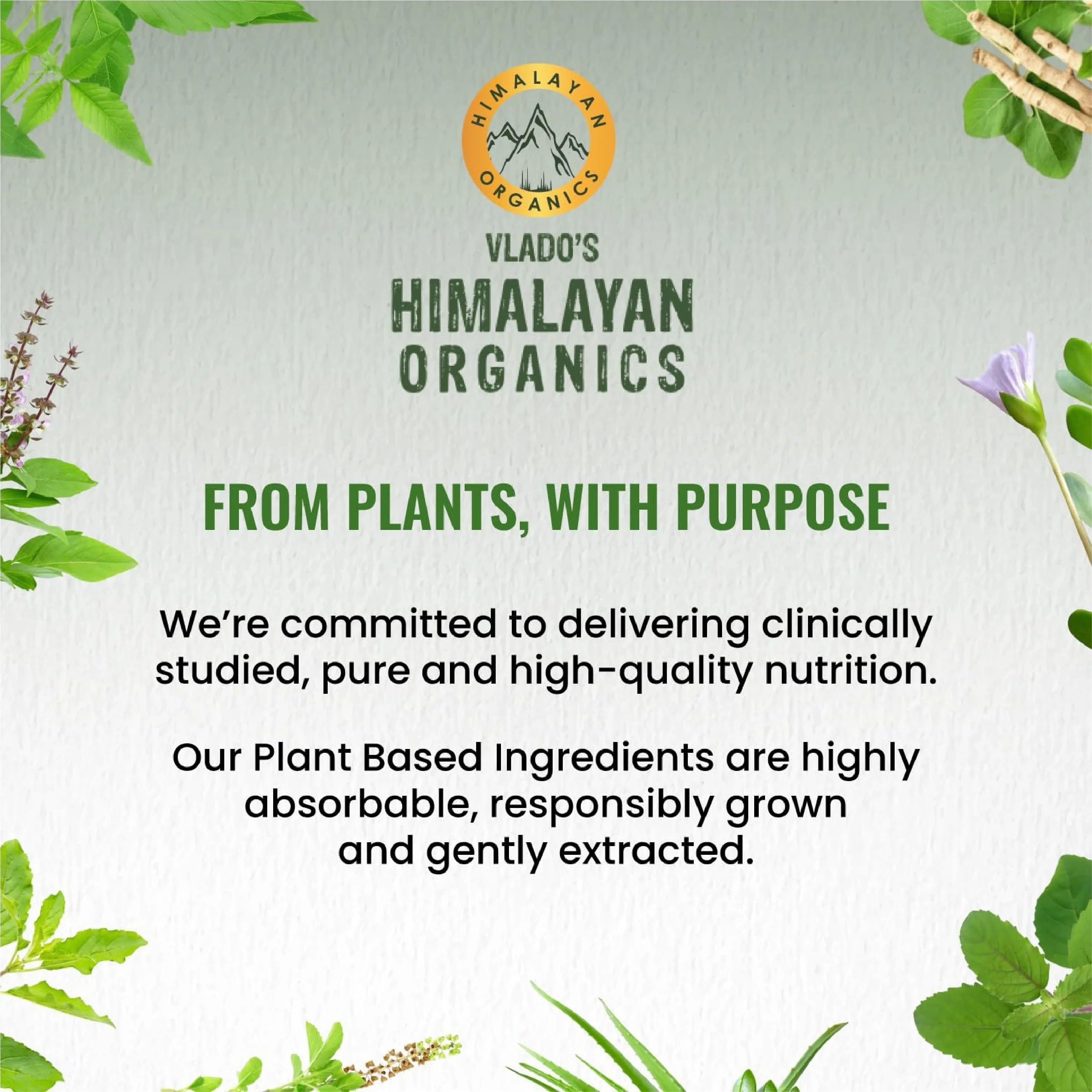 Himalayan Organics Vegan Omega 3 Vegetarian Capsules | Plant-Based Essential Fatty Acids | Joint & Heart Wellness Supplement-6