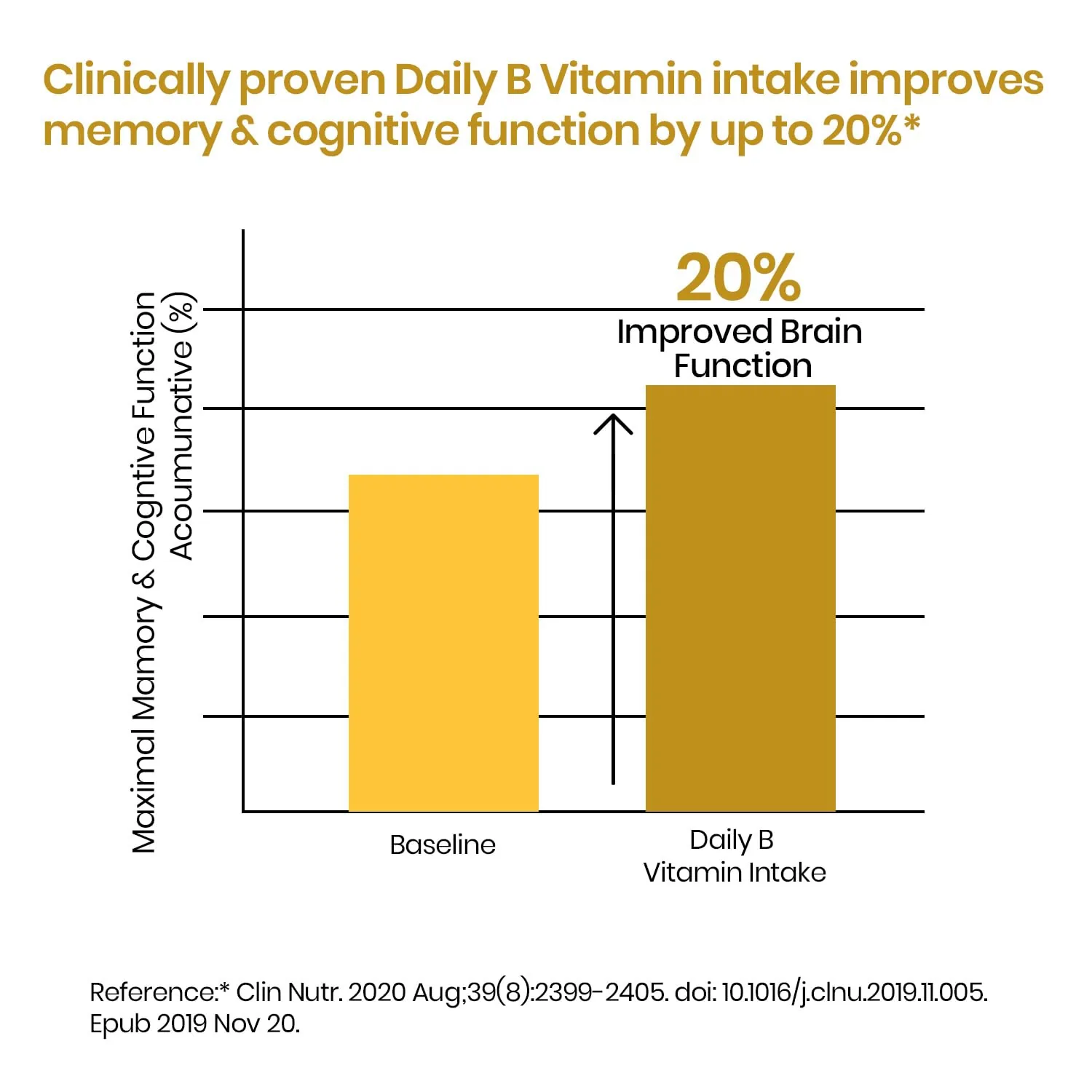 Himalayan Organics Vitamin B Complex | Vegan Dietary Supplement | Cognitive & Energy Support-6