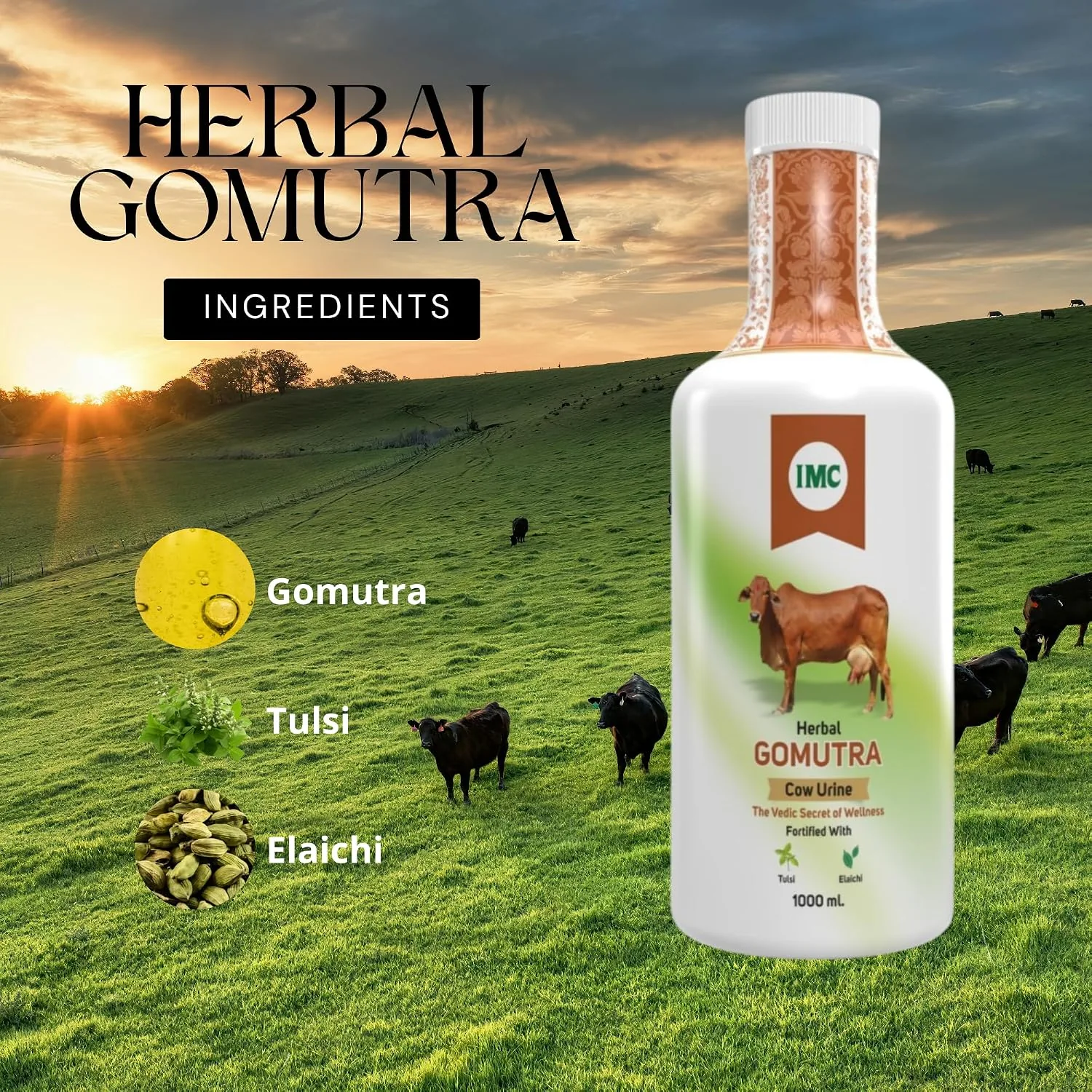 IMC Herbal Gomutra Juice | Ayurvedic Detoxifier | Immune & Liver Support-4