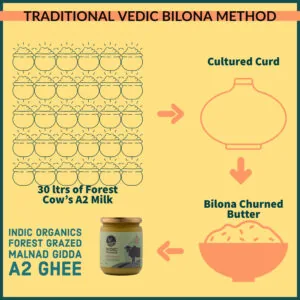 Indic Organics Forest Grazing Malnad Gidda Desi Cow's A2 Ghee | Pure Bilona Cultured Ghee | Rich in Omega-3 & DHA-8