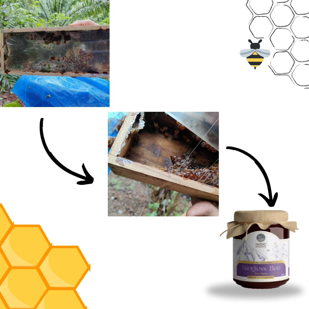 Indic Organics Small Stingless Bee Raw Honey from Western Ghats | Unprocessed Melipona Honey | Pure Wild Forest Nectar-1