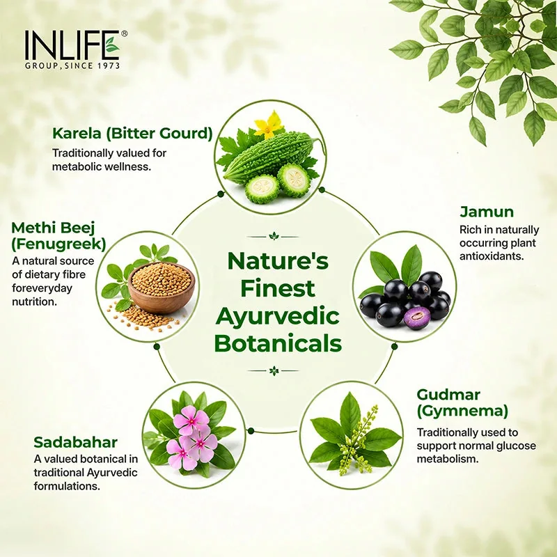 Inlife Diabetes Care Diastan Capsules | Ayurvedic Blood Sugar Support | Herbal Metabolic Wellness Formula-3