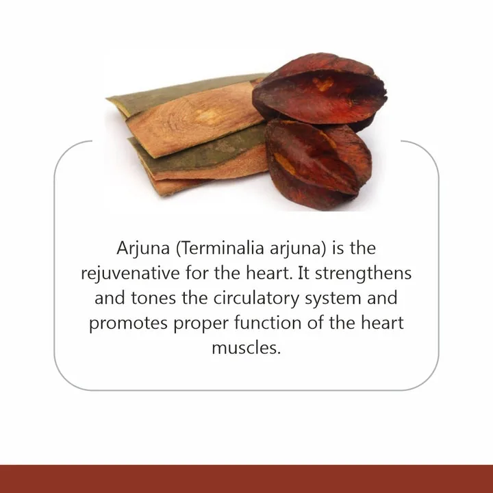 Jain Arjun Chaal Powder | Pure Terminalia Arjuna Bark | Traditional Ayurvedic Heart Support-2
