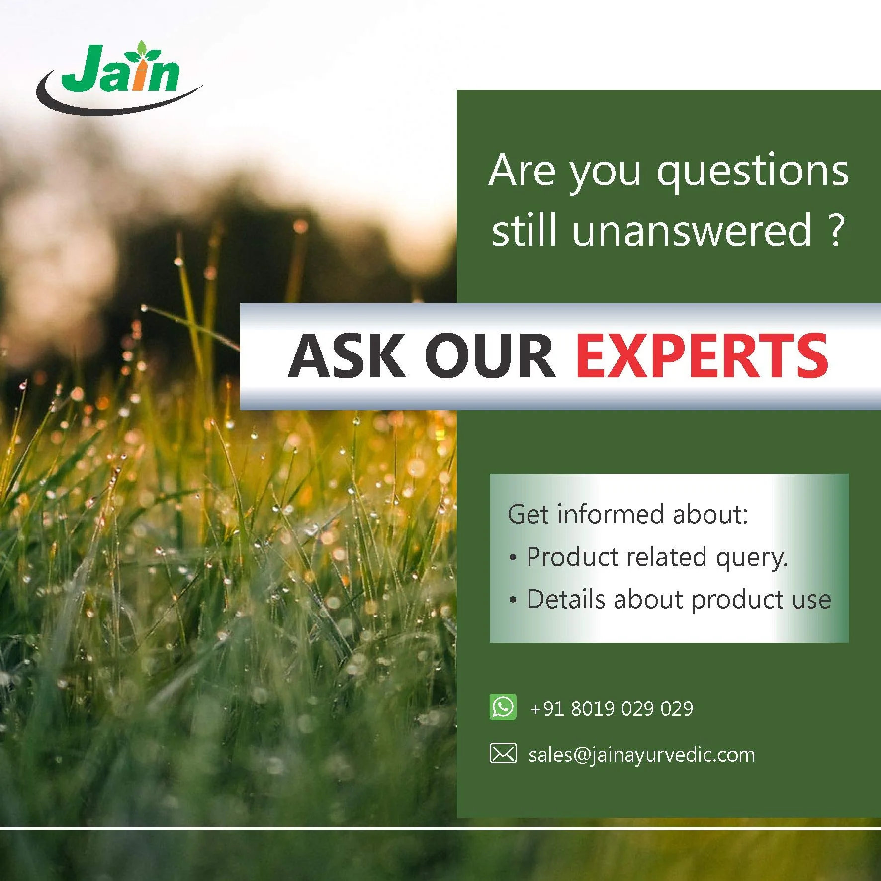 Jain Ayurvedic Kanchanara Guggulu | Traditional Herbal Tablets | Lymphatic and Thyroid Support-5