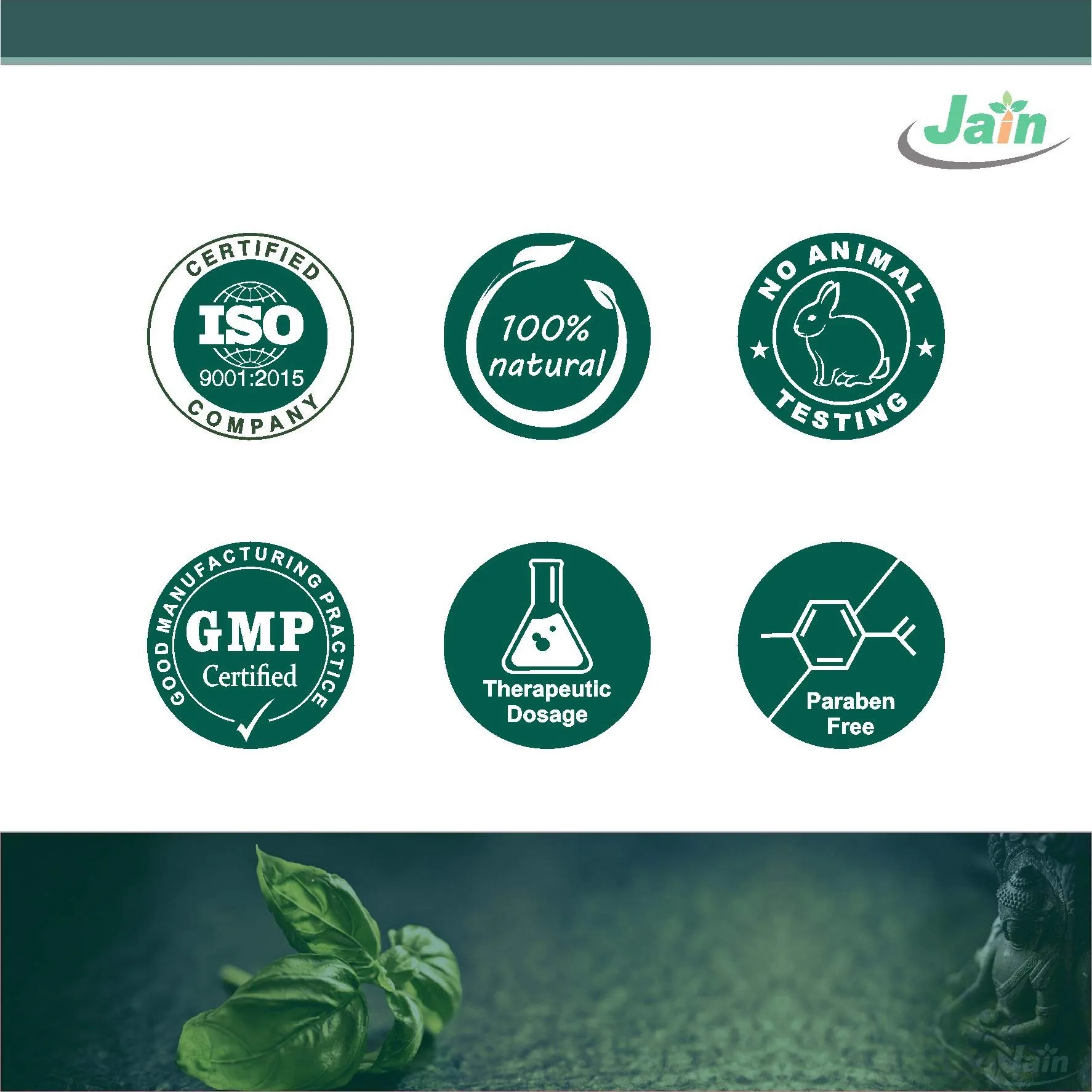 Jain Guduchi Powder | Pure Giloy Stem Herbal Supplement | Natural Immunity and Liver Support-3