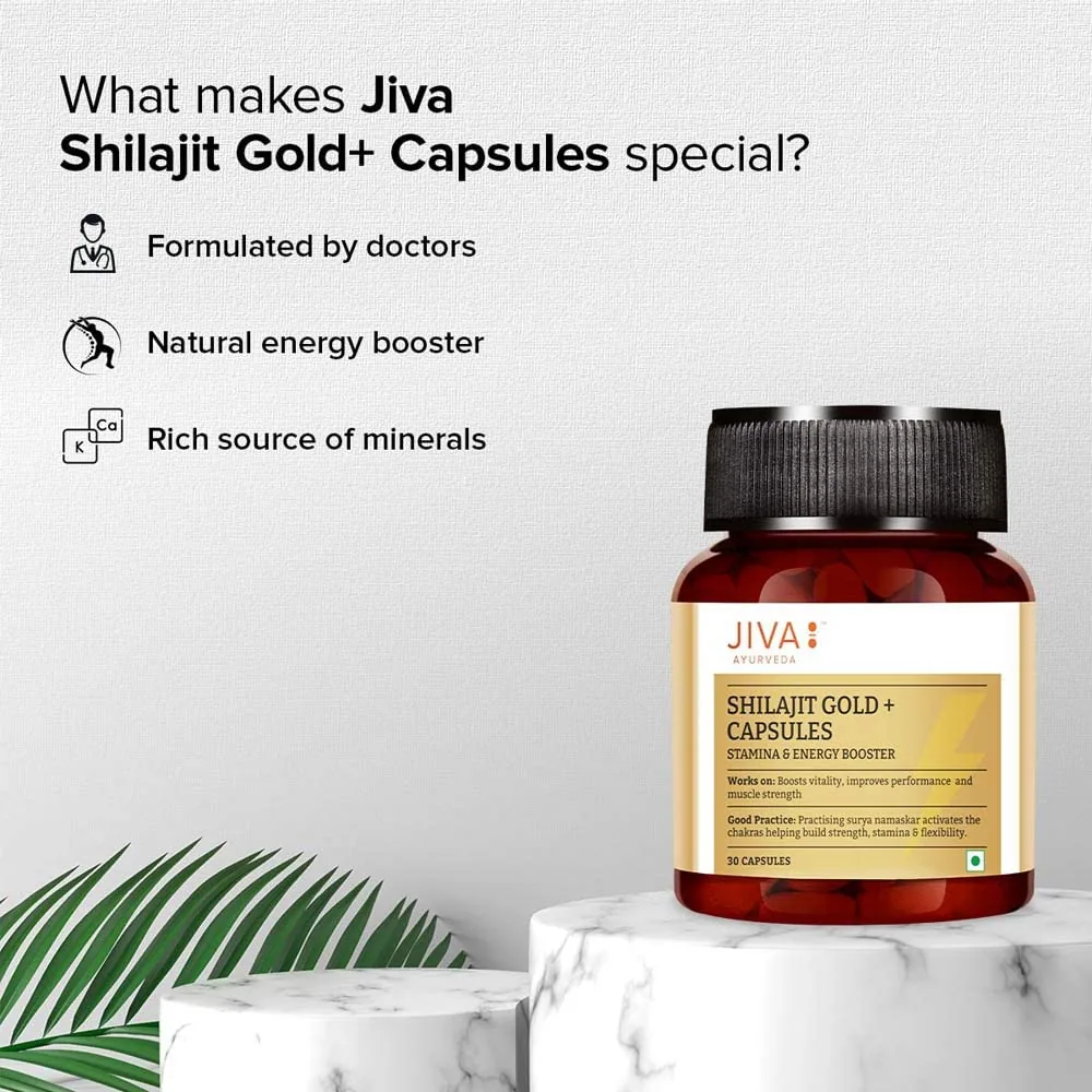 Jiva Ayurveda SJ Gold Capsules | Ayurvedic Vitality Supplement | Stamina & Strength Booster-6
