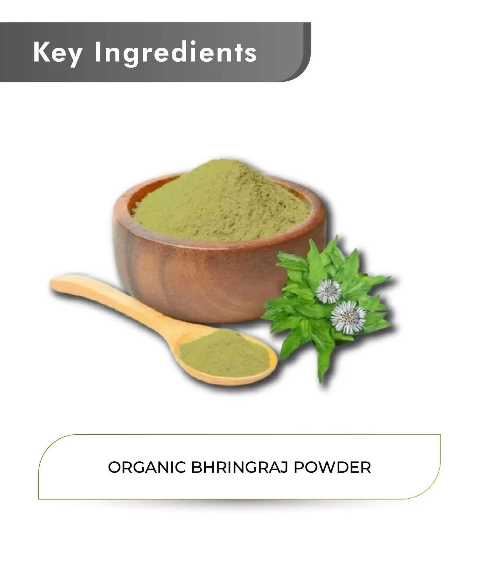 Just Jaivik Organic Bhringraj Powder | Natural Hair Tonic | Pure Eclipta Alba for Scalp Nourishment-4