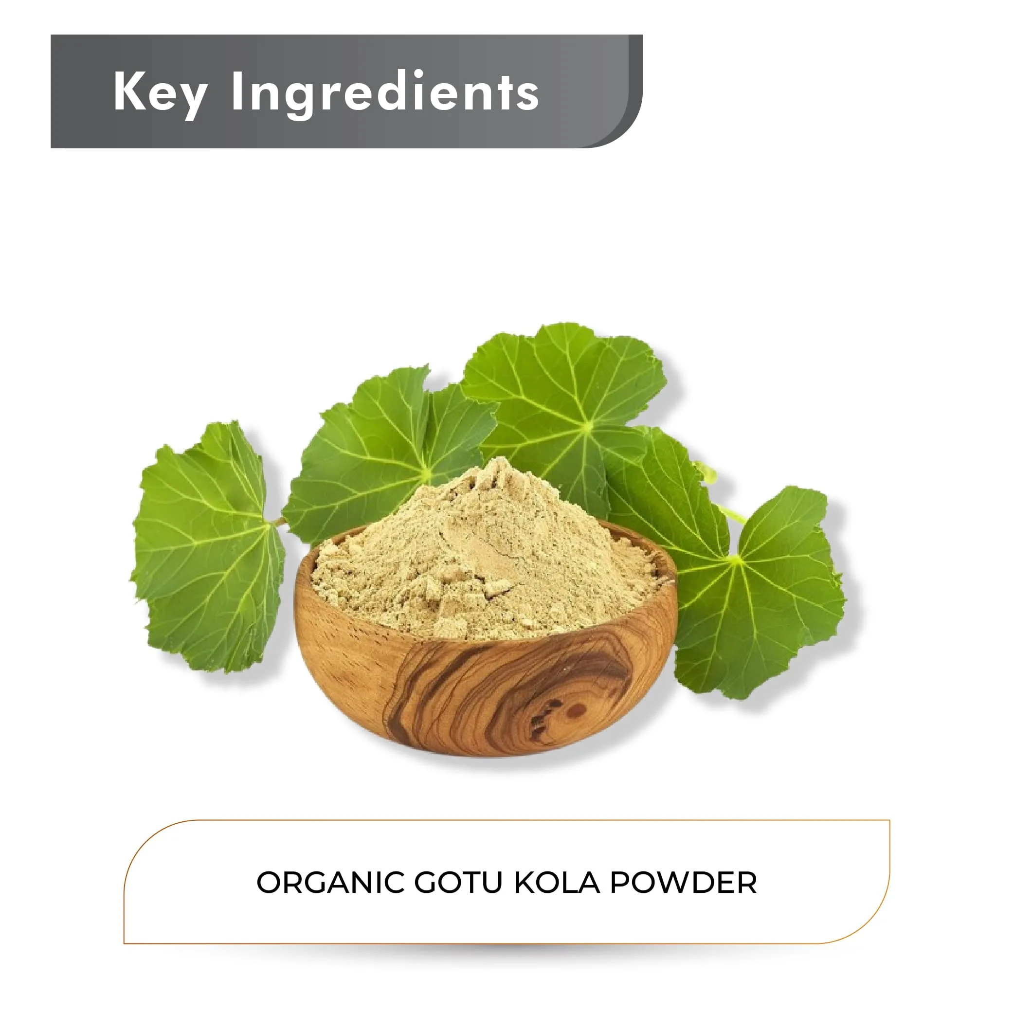 Just Jaivik Organic Gotu Kola Powder | Ayurvedic Brain & Focus Support | Natural Centella Asiatica-4