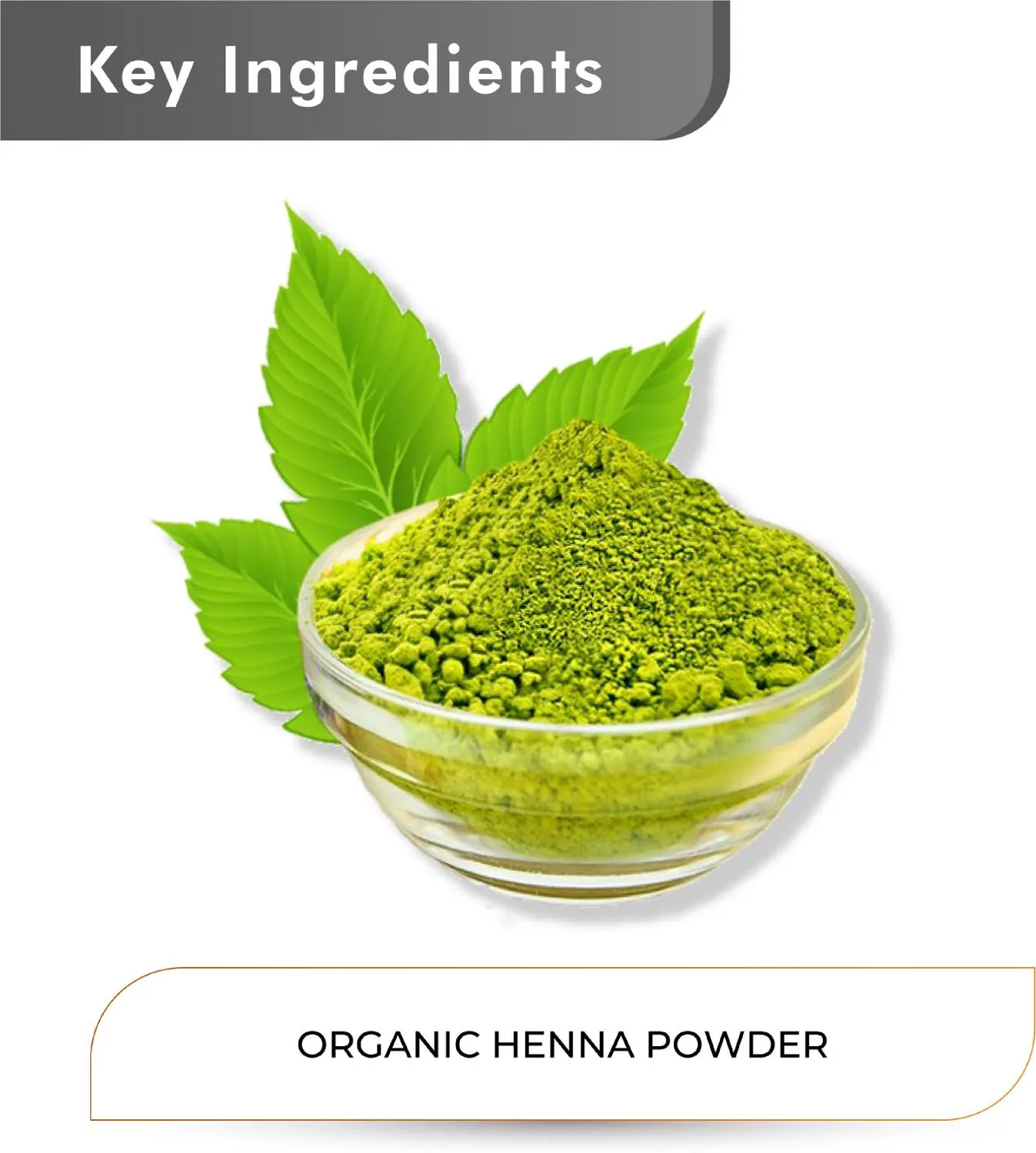 Just Jaivik Organic Henna Powder | Natural Hair Color | Pure Lawsonia Inermis for Conditioning-3