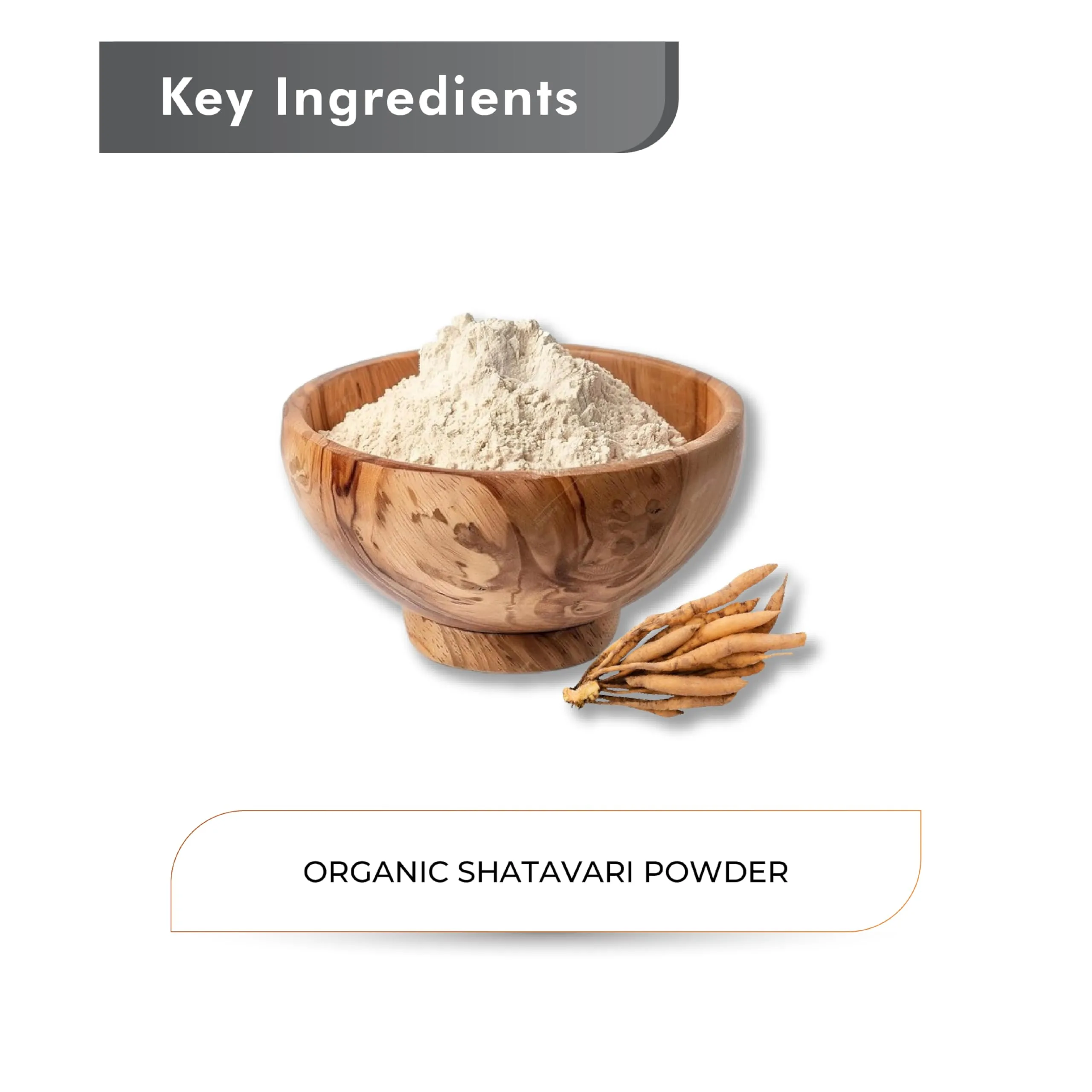 Just Jaivik Organic Shatavari Powder | Ayurvedic Wellness | Pure & Natural-3