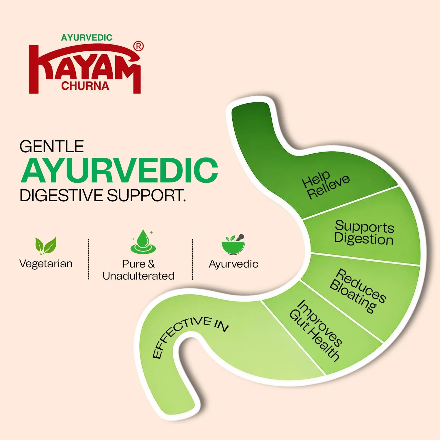 Kayam Churna | Ayurvedic Digestive Powder | Natural Constipation Relief-3