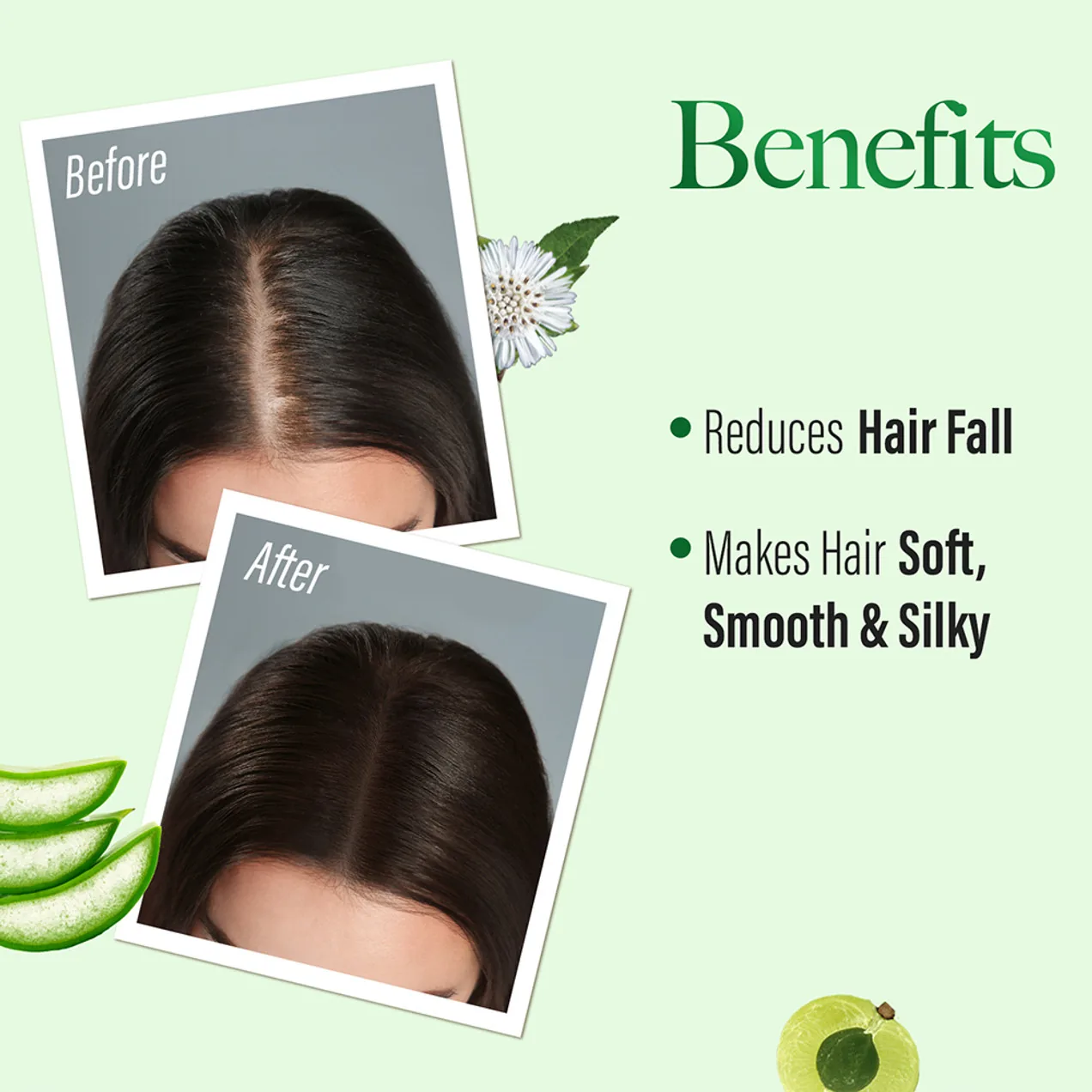 Kesh King Ayurvedic Gold Anti Hairfall Shampoo | Herbal Scalp Care | Hair Fall Control Formula-3