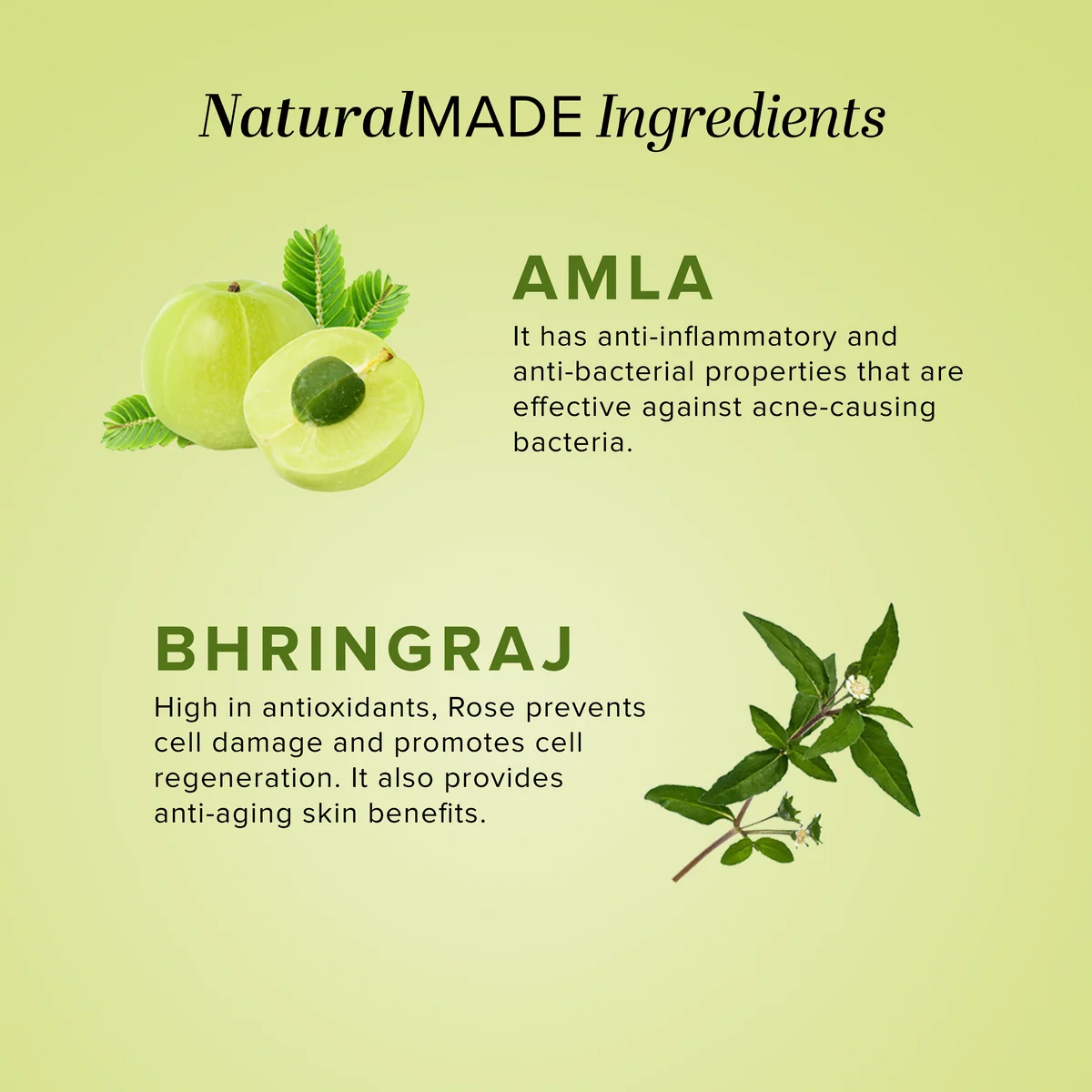 Khadi Natural Amla & Bhringraj Hair Cleanser | Ayurvedic Scalp Purifying Shampoo | Natural Hair Nourishment-3