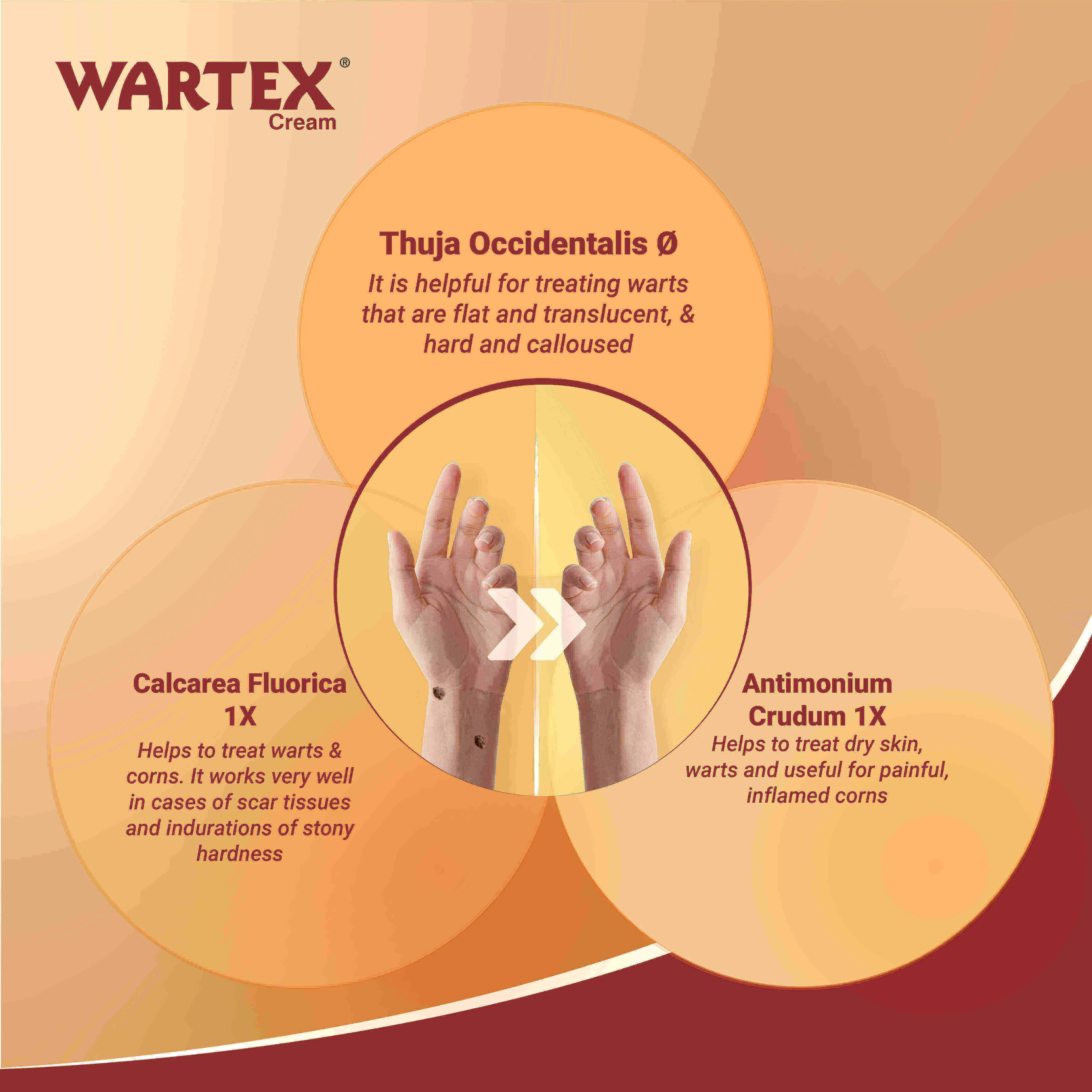 Medisynth Wartex Cream | Homeopathic Topical Formula | Painless Skin Care-3