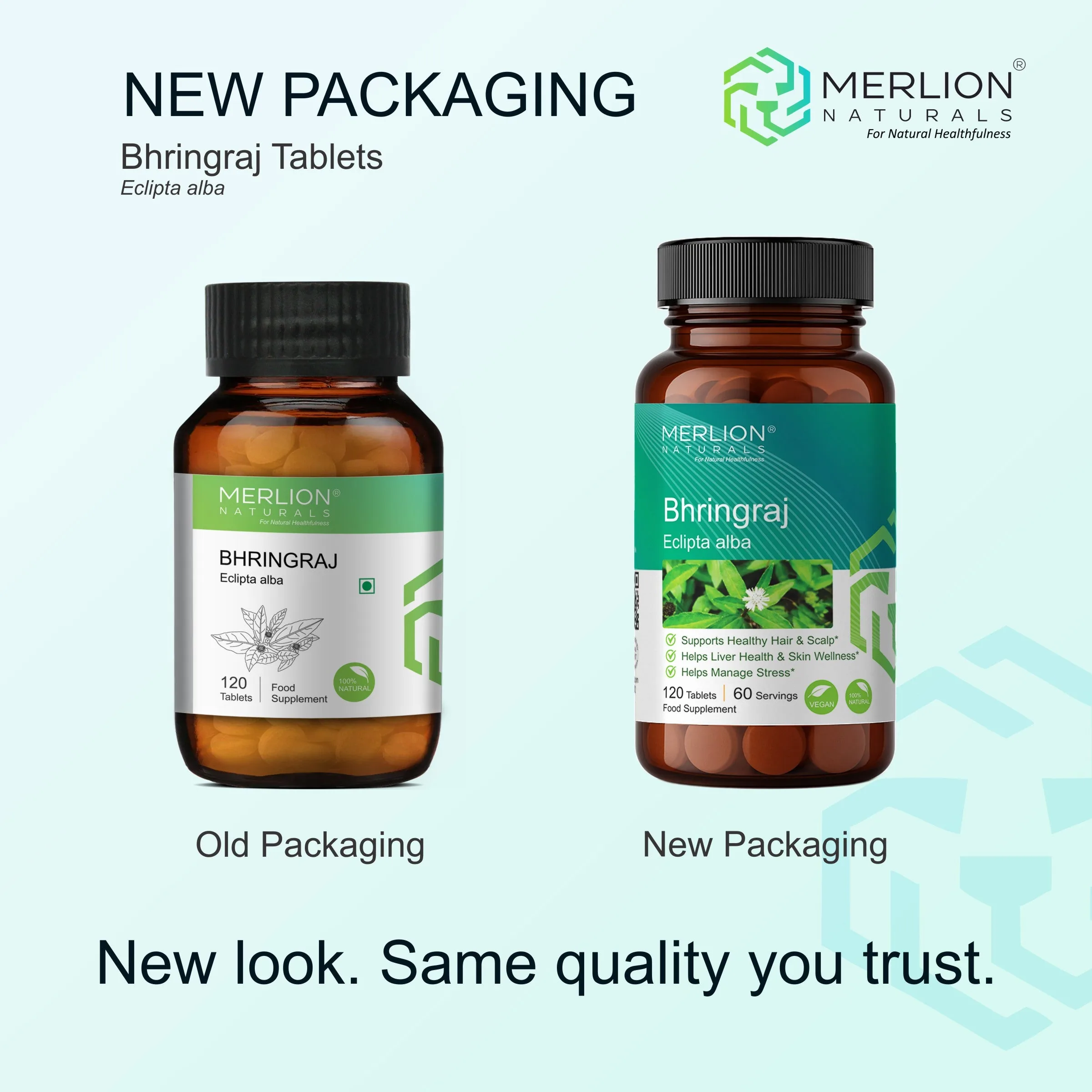 Merlion Naturals Bhringraj Tablets | Ayurvedic Hair & Scalp Supplement | Pure Eclipta Alba for Holistic Wellness-2