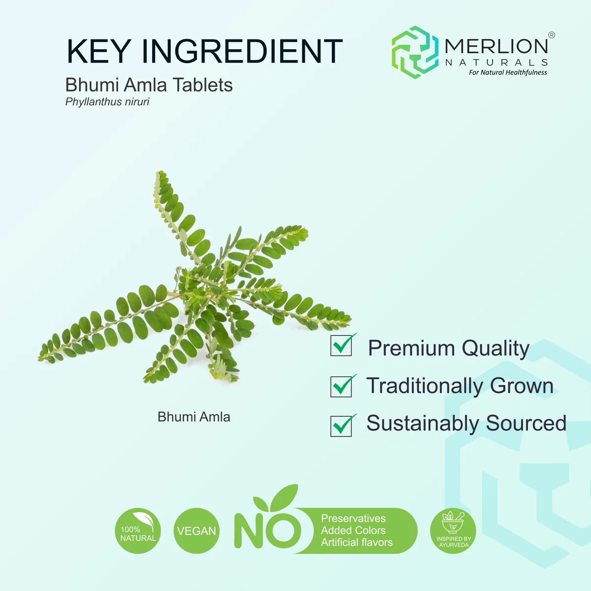 Merlion Naturals Bhumi Amla Tablets | Ayurvedic Liver & Kidney Support Supplement | Pure Phyllanthus Niruri-5