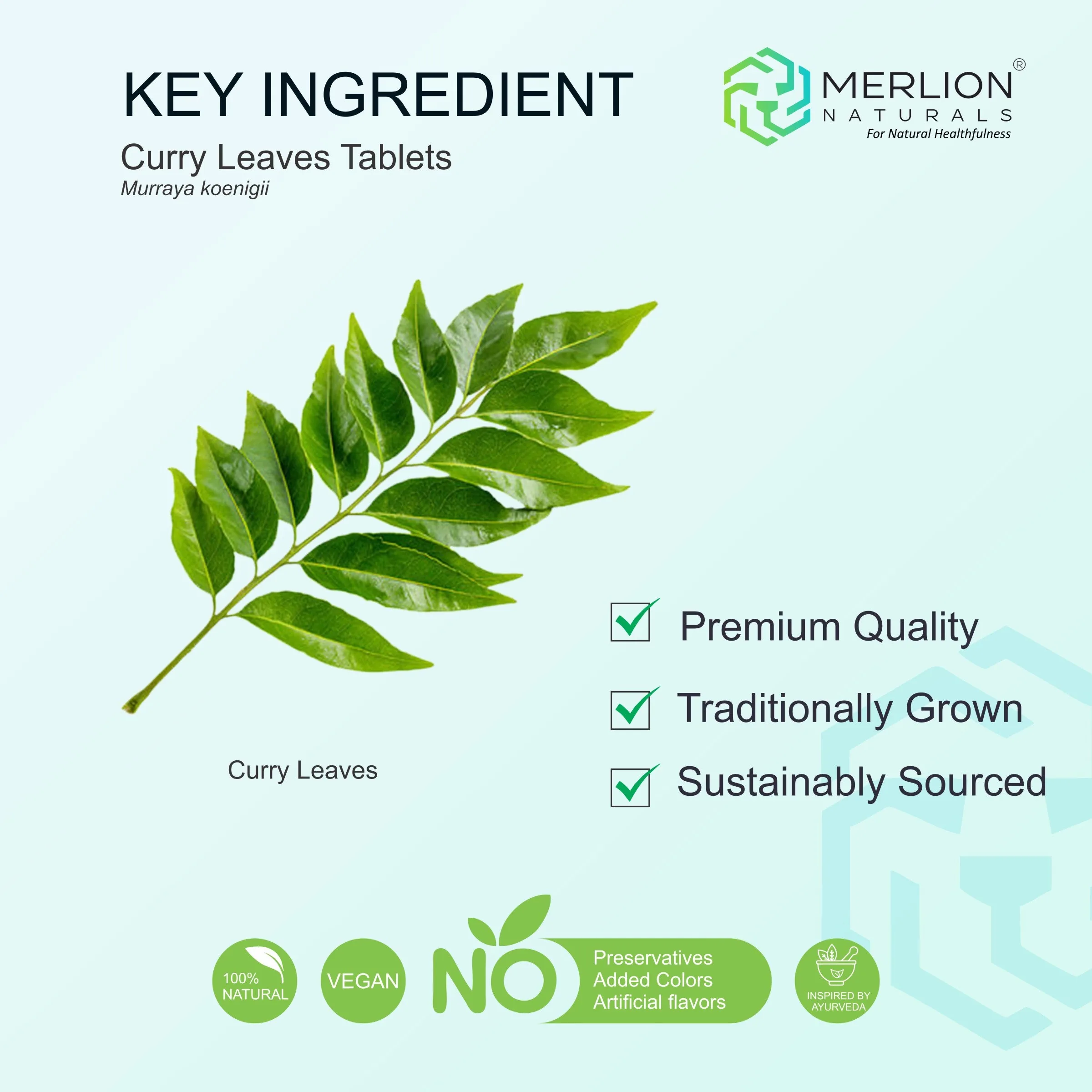 Merlion Naturals Curry Leaves Tablets | Pure Murraya Koenigii Supplement | Hair Health and Digestive Support-5