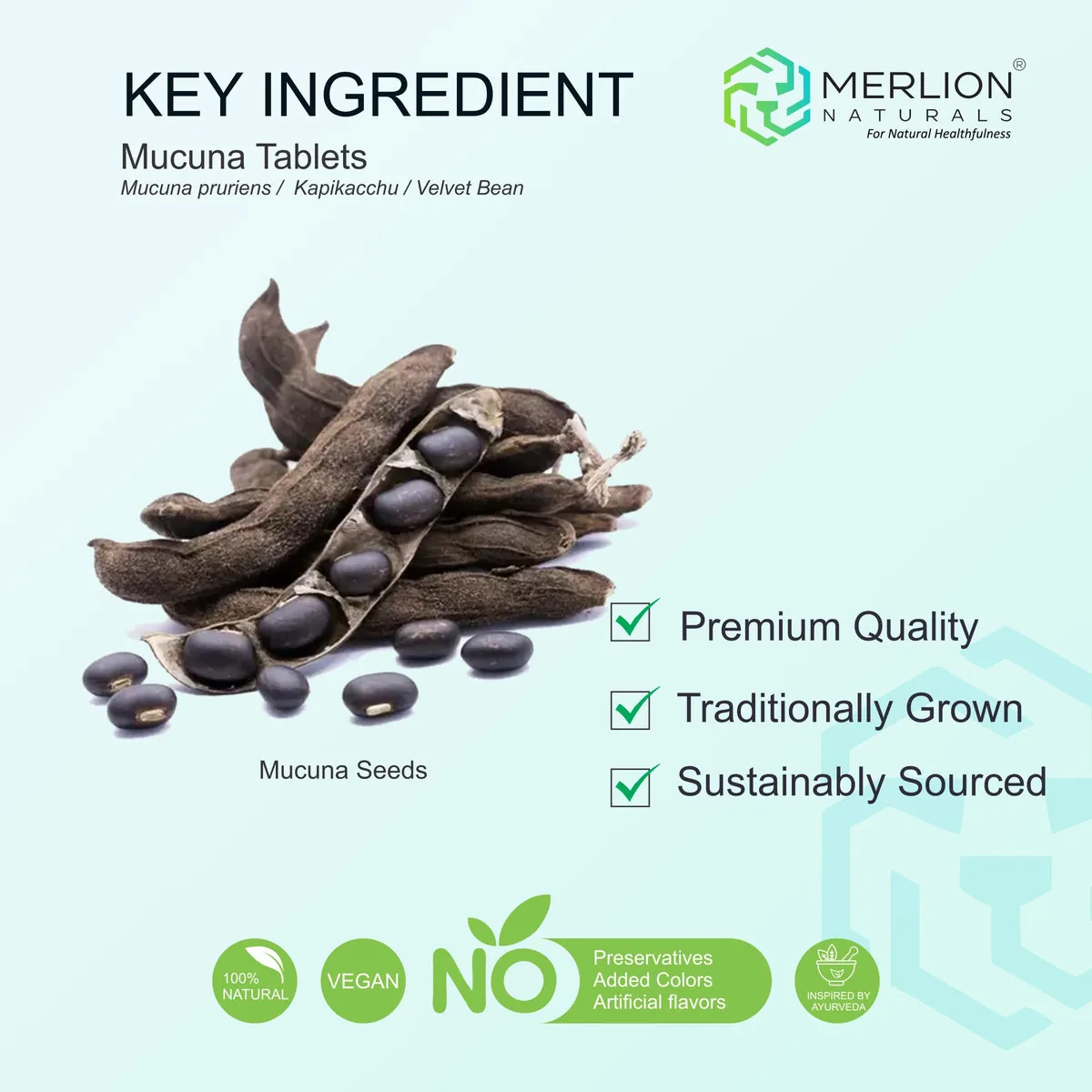 Merlion Naturals Kapikachhu Tablets | Mucuna Pruriens Supplement | Natural Brain and Stress Support-2