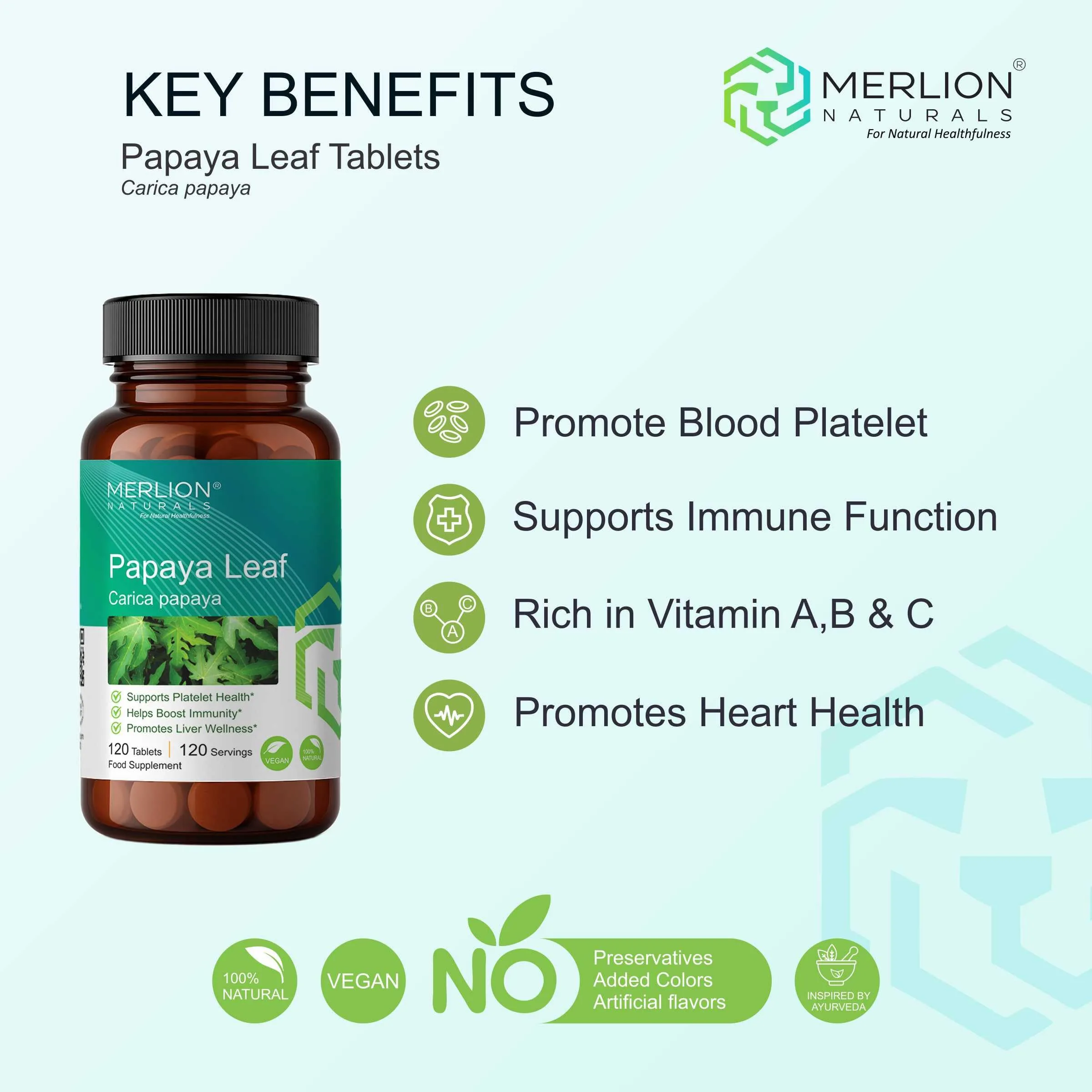 Merlion Naturals Papaya Leaf Tablets | Herbal Wellness Supplement | Supports Immune Function & Platelet Production-2