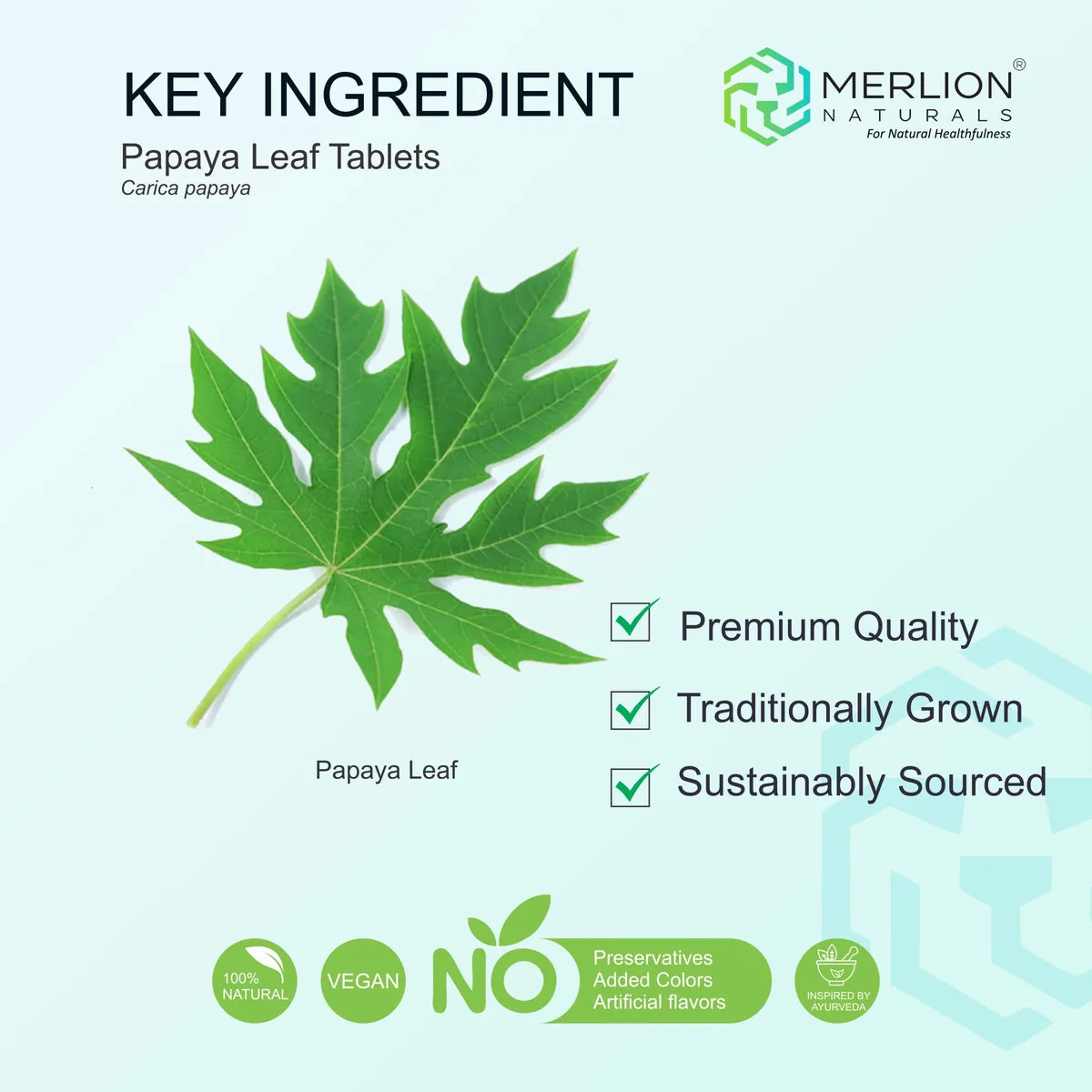 Merlion Naturals Papaya Leaf Tablets | Herbal Wellness Supplement | Supports Immune Function & Platelet Production-5