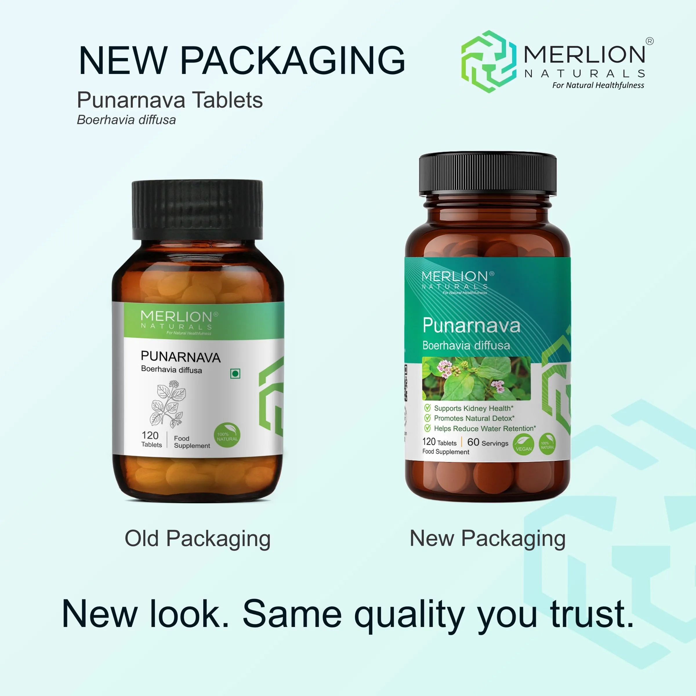 Merlion Naturals Punarnava Tablets | Ayurvedic Boerhavia Diffusa Supplement | Natural Kidney and Digestion Support-2