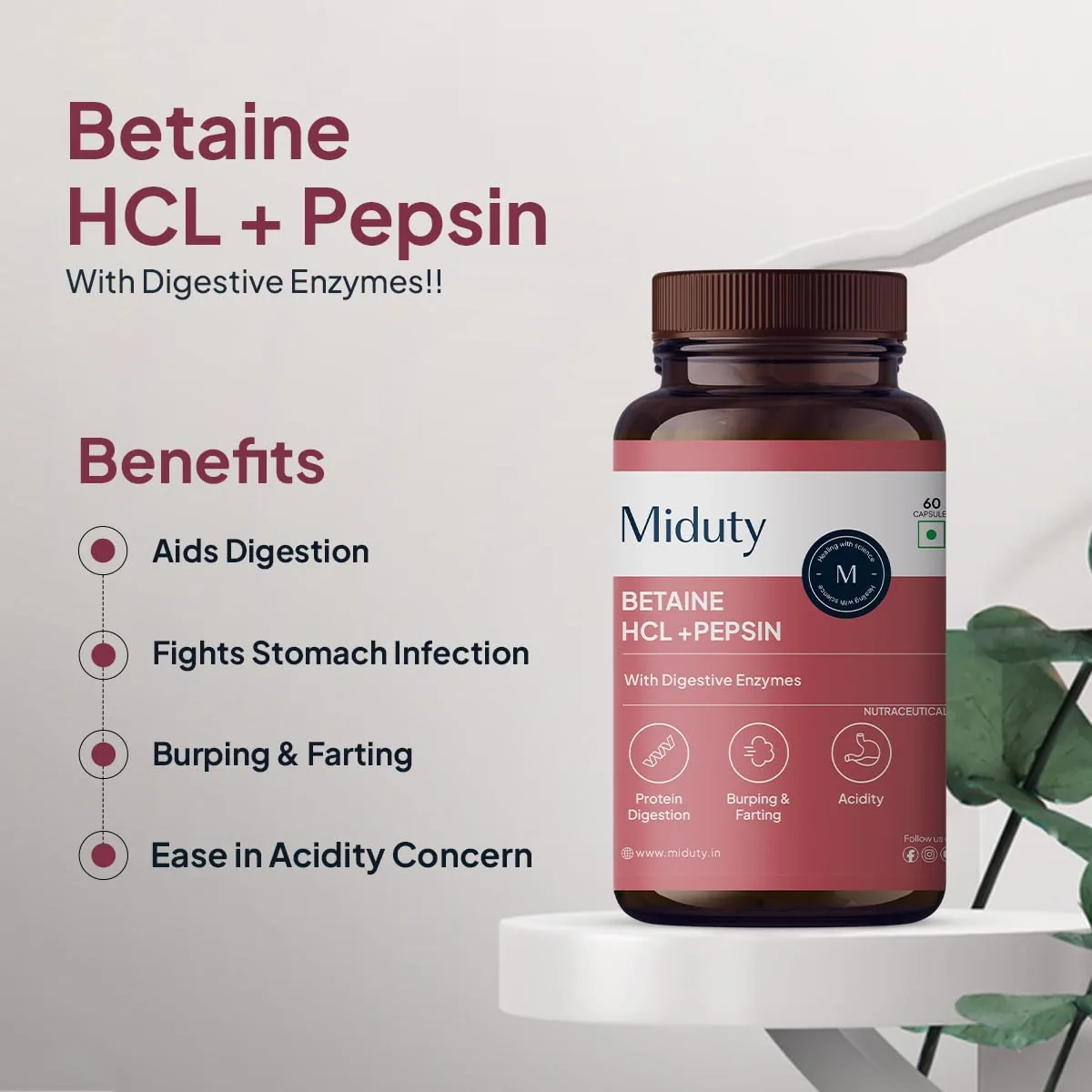 Miduty Betaine HCL + Pepsin Capsules | Digestive Support Supplement | Natural Stomach Acid & Gut Health Formula-4