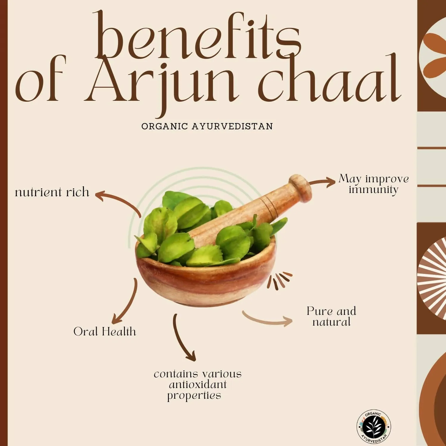 Organic Ayurvedistan Arjun Chaal Powder | Pure Arjuna Churna | Traditional Heart and Wellness Support-4