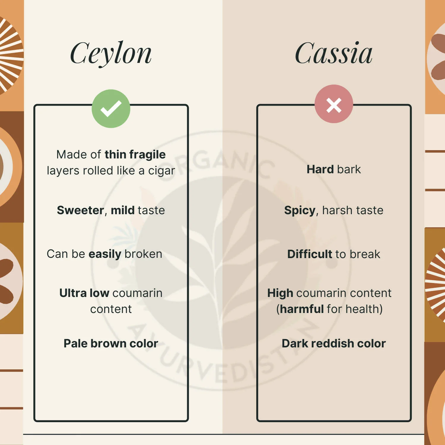 Organic Ayurvedistan Ceylon Cinnamon Sticks | True Sri Lankan Dalchini | Low Coumarin Spice-2