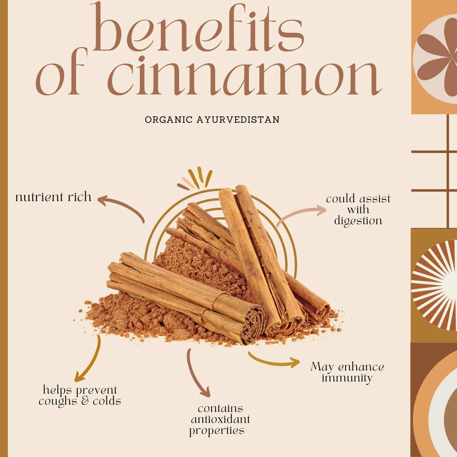 Organic Ayurvedistan Ceylon Cinnamon Sticks | True Sri Lankan Dalchini | Low Coumarin Spice-4