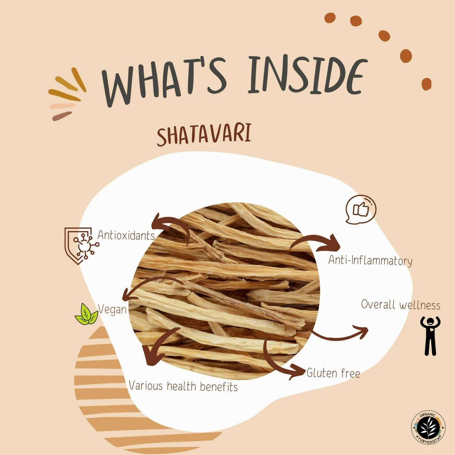 Organic Ayurvedistan Shatavari Powder | Pure Asparagus Racemosus Churna | Natural Adaptogen for Hormonal Balance-4