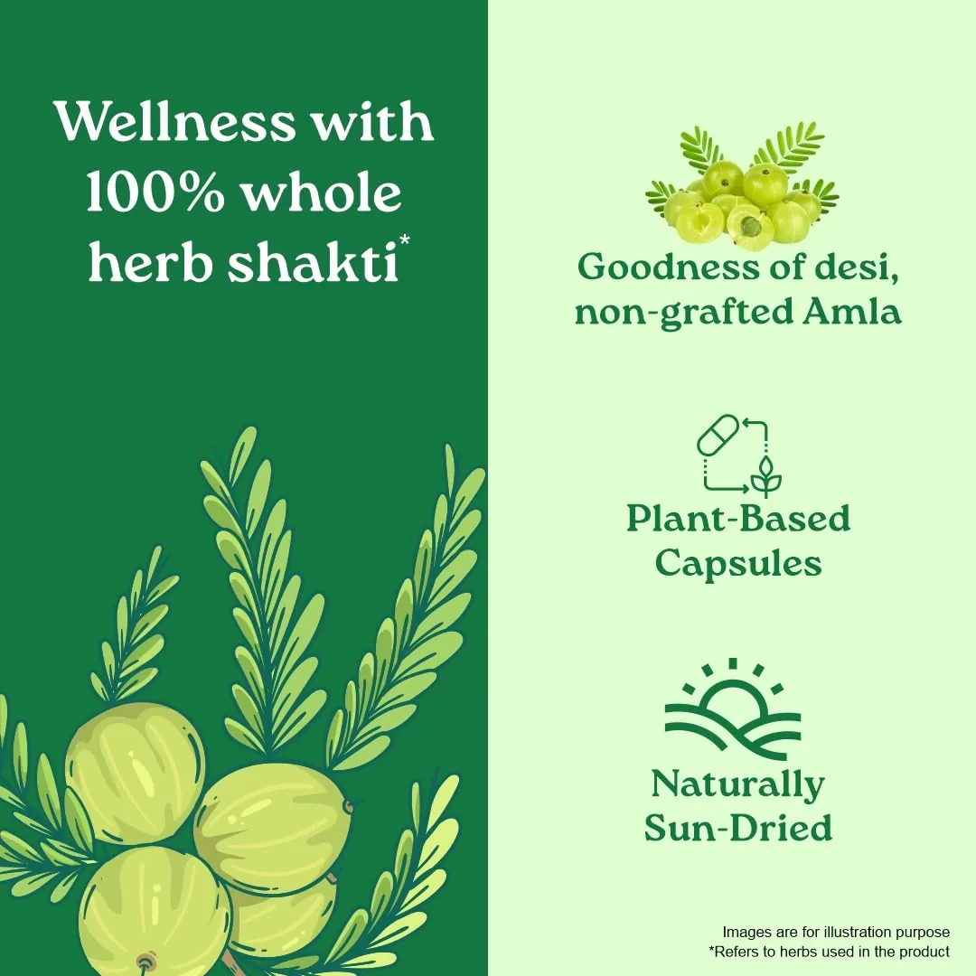 Organic India Amalaki Capsules | Ayurvedic Vitamin C Supplement | Natural Immunity & Digestive Support-5