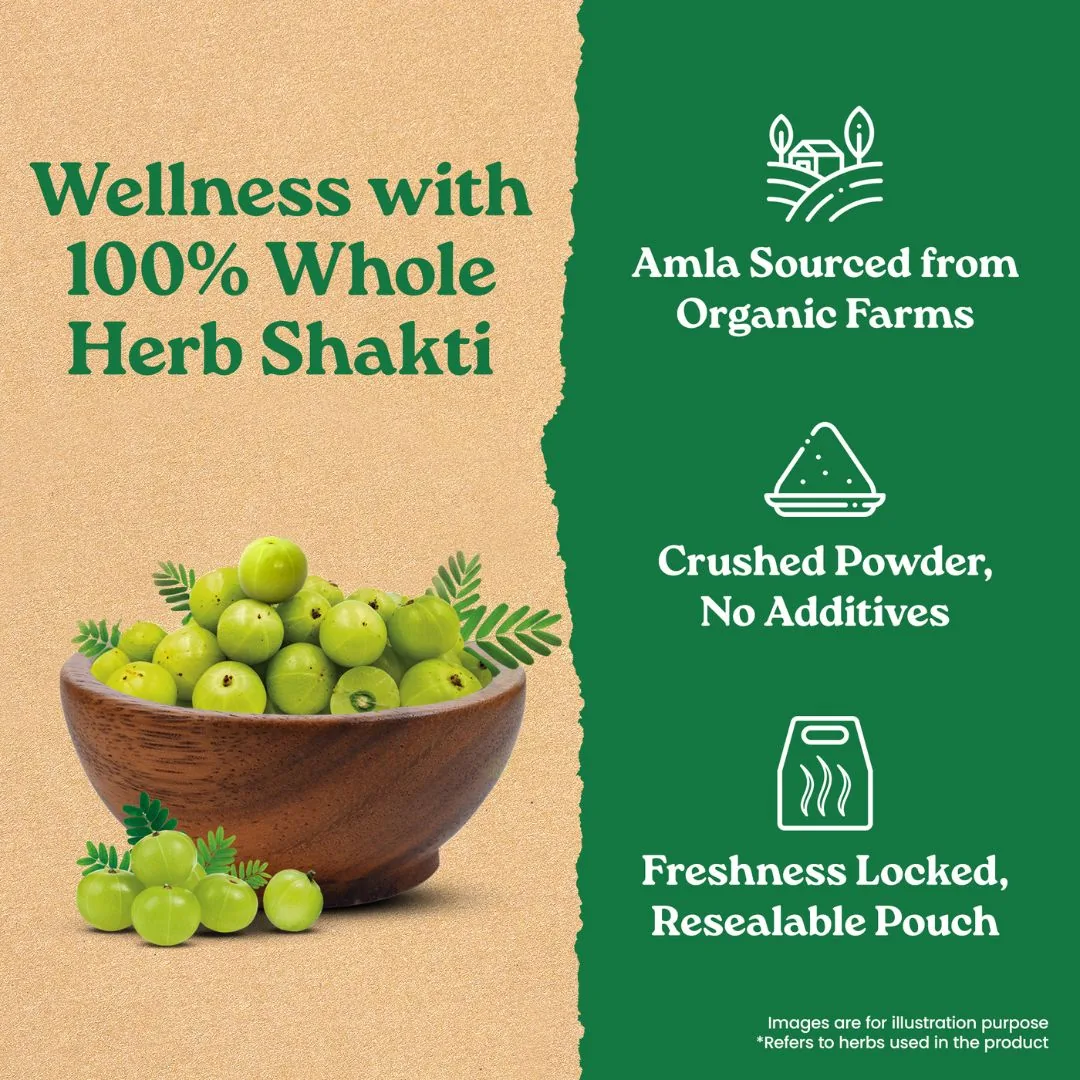 Organic India Amla Powder | Certified Organic Amalaki | Natural Immunity and Digestion Support-6
