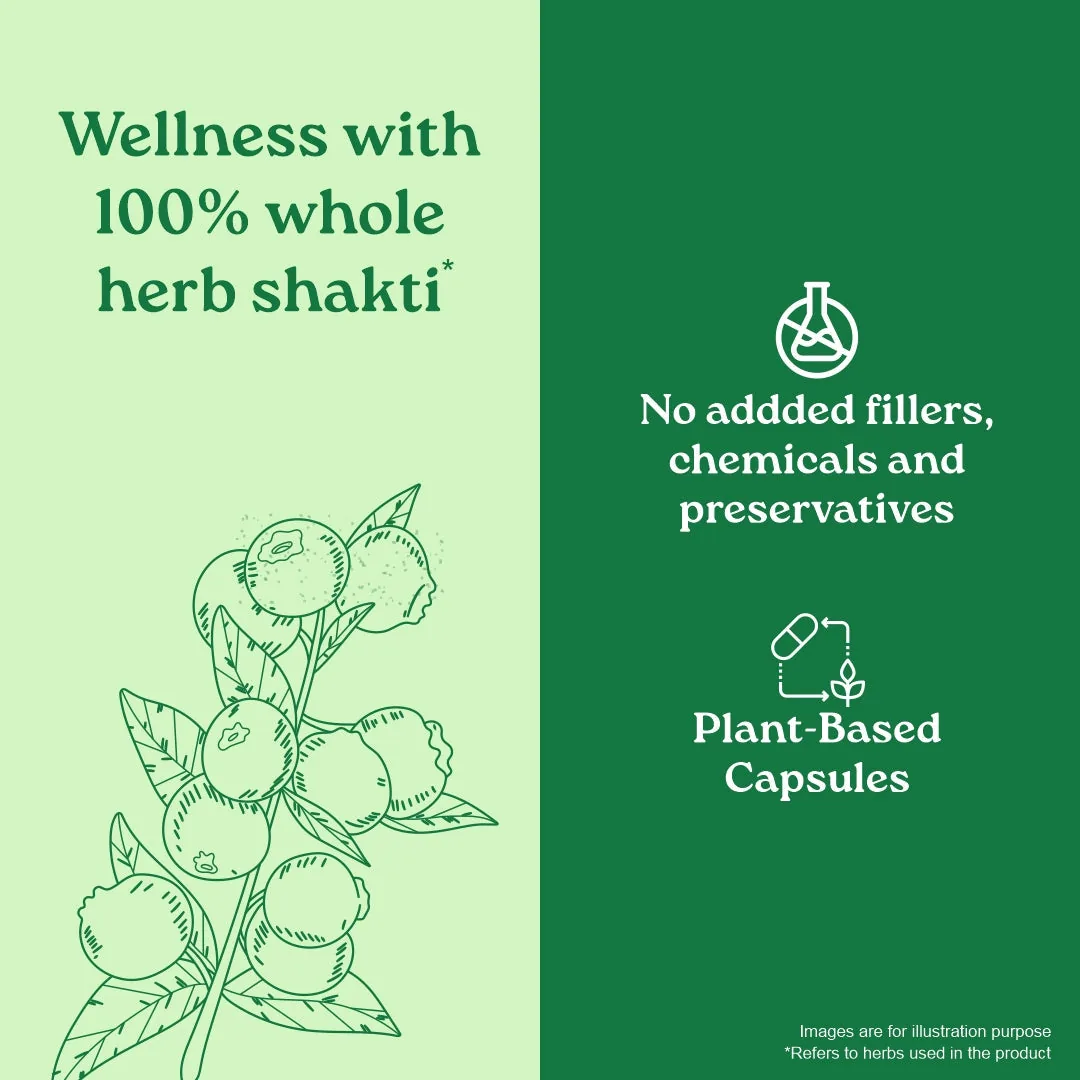 Organic India Garcinia Cambogia Capsules | Ayurvedic Metabolic Support | Natural Appetite Management-4