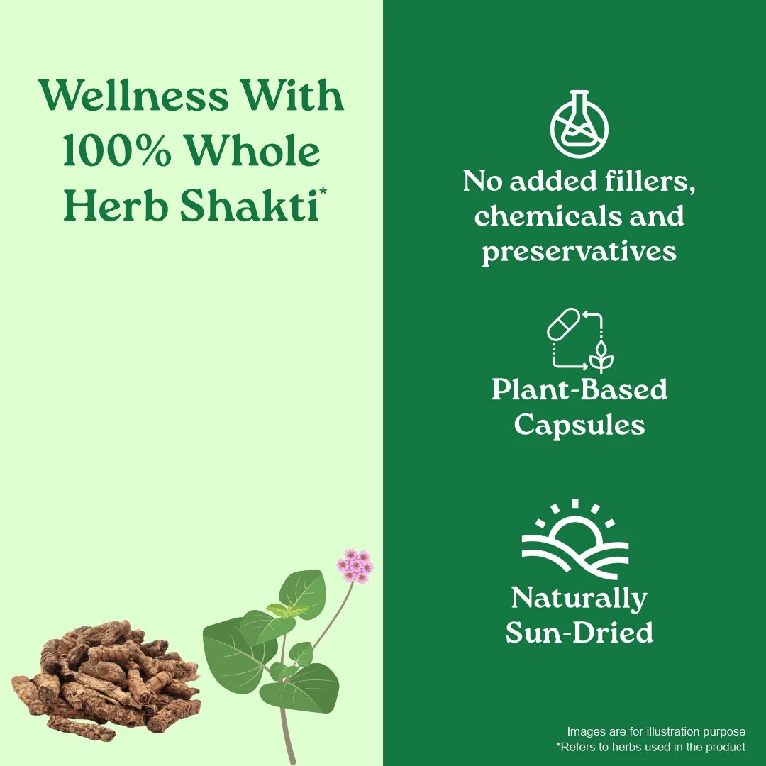 Organic India Liver Kidney Care | Herbal Supplement | Natural Detoxification and Vitality Support-4