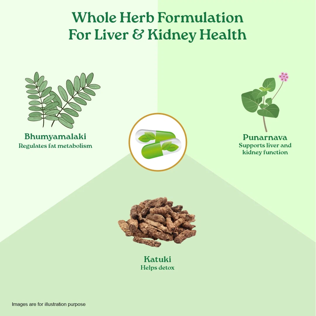 Organic India Liver Kidney Care | Herbal Supplement | Natural Detoxification and Vitality Support-5