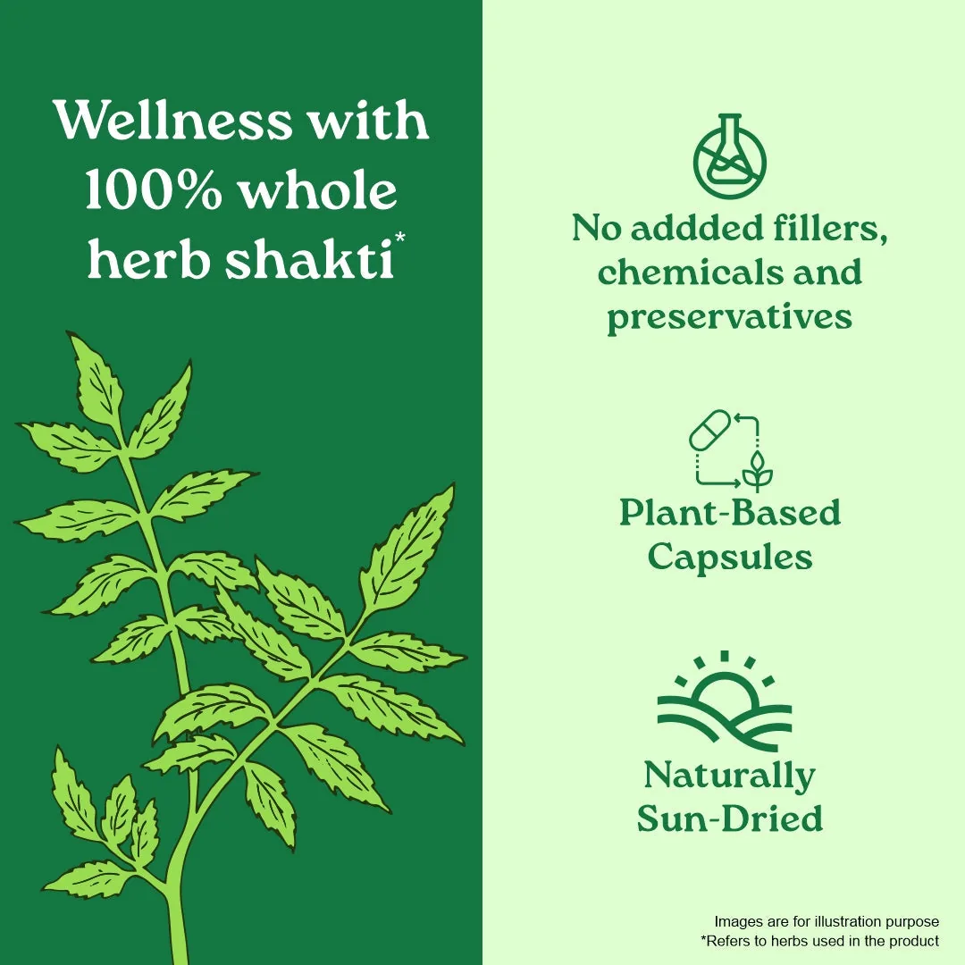 Organic India Neem Capsules | Ayurvedic Wellness | Skin & Blood Support-4