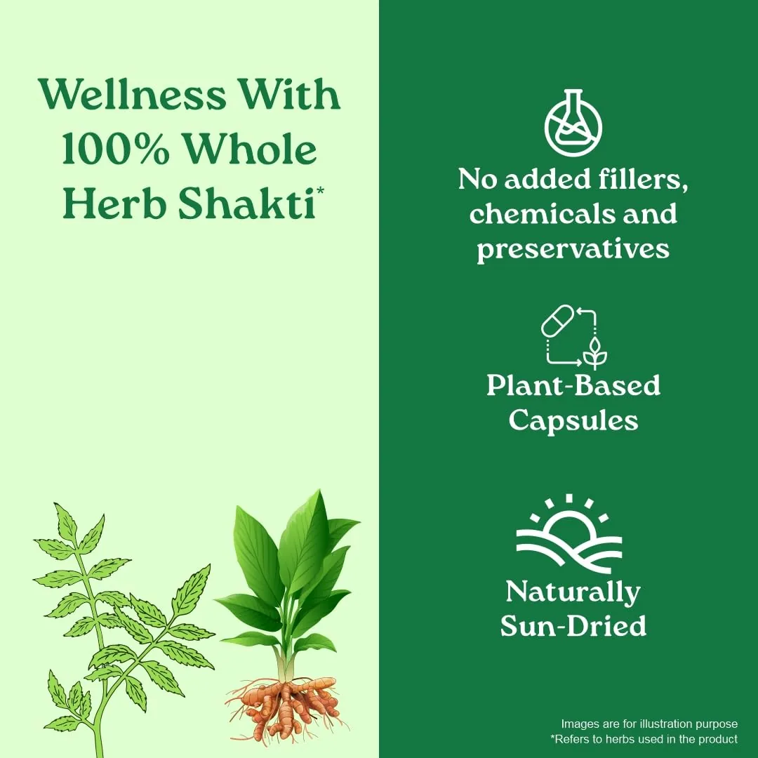 Organic India Prostate Care | Herbal Wellness Capsules | Natural Urinary and Prostate Support-6