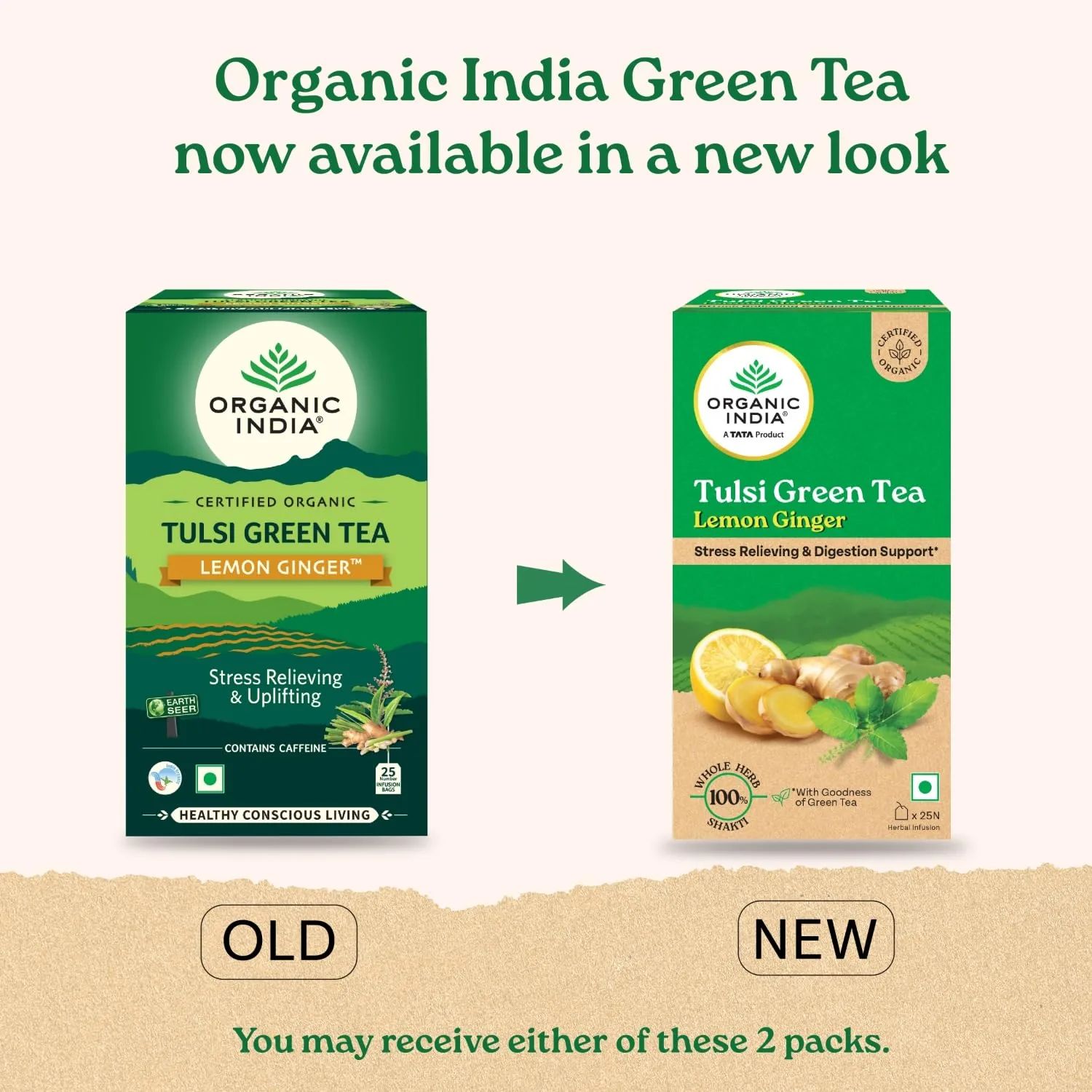Organic India Tulsi Ginger | Caffeine-Free Herbal Tea | Stress Relieving & Digestive Support-2