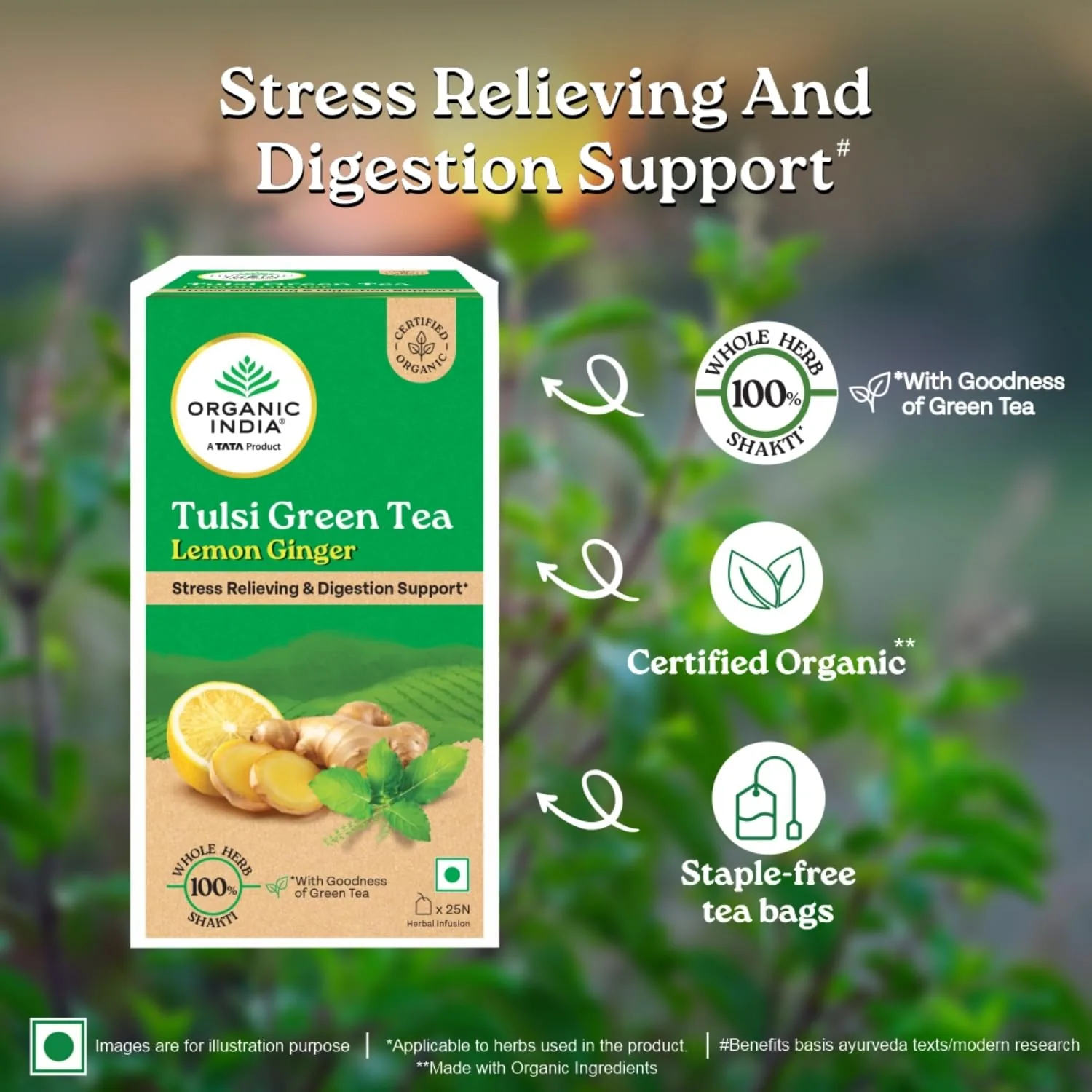 Organic India Tulsi Ginger | Caffeine-Free Herbal Tea | Stress Relieving & Digestive Support-3