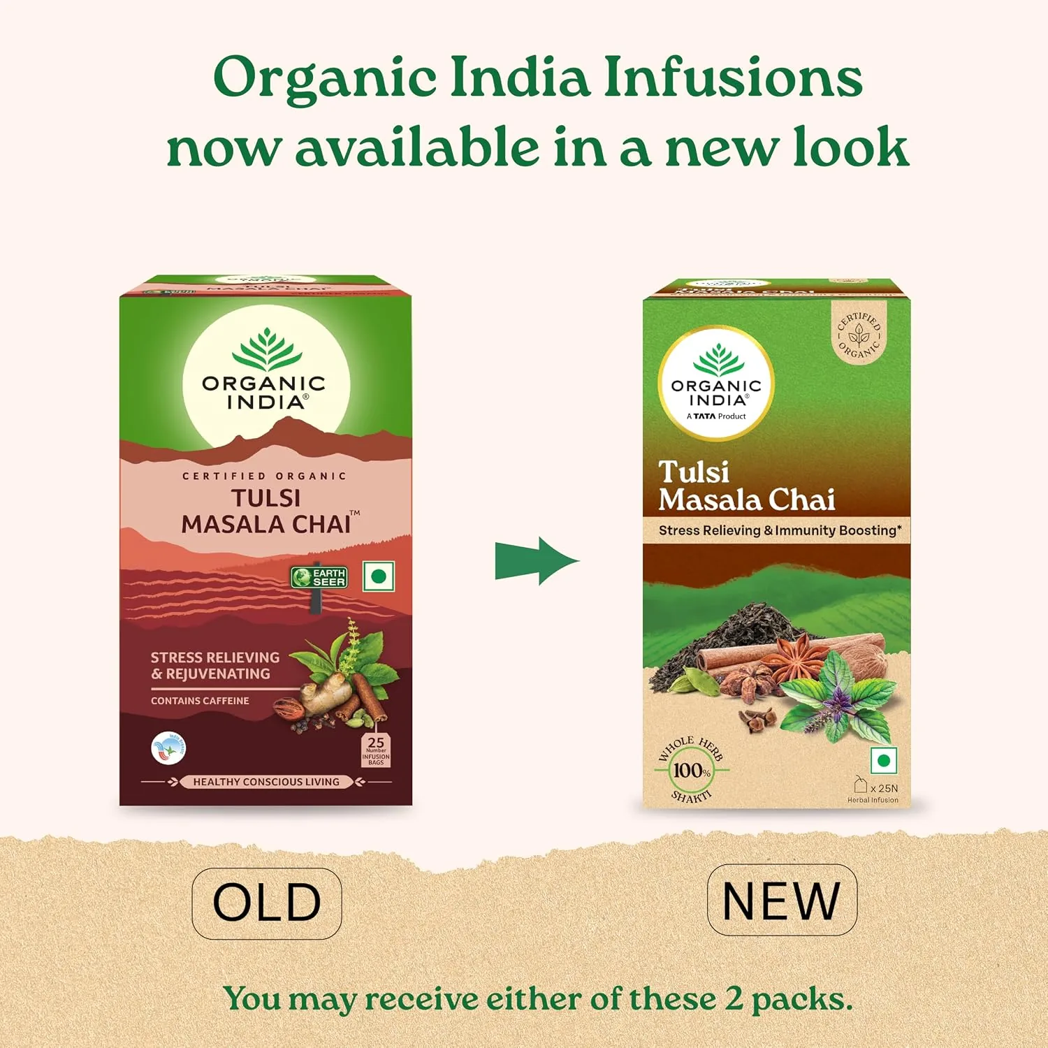 Organic India Tulsi Masala Chai - Tea Bags
